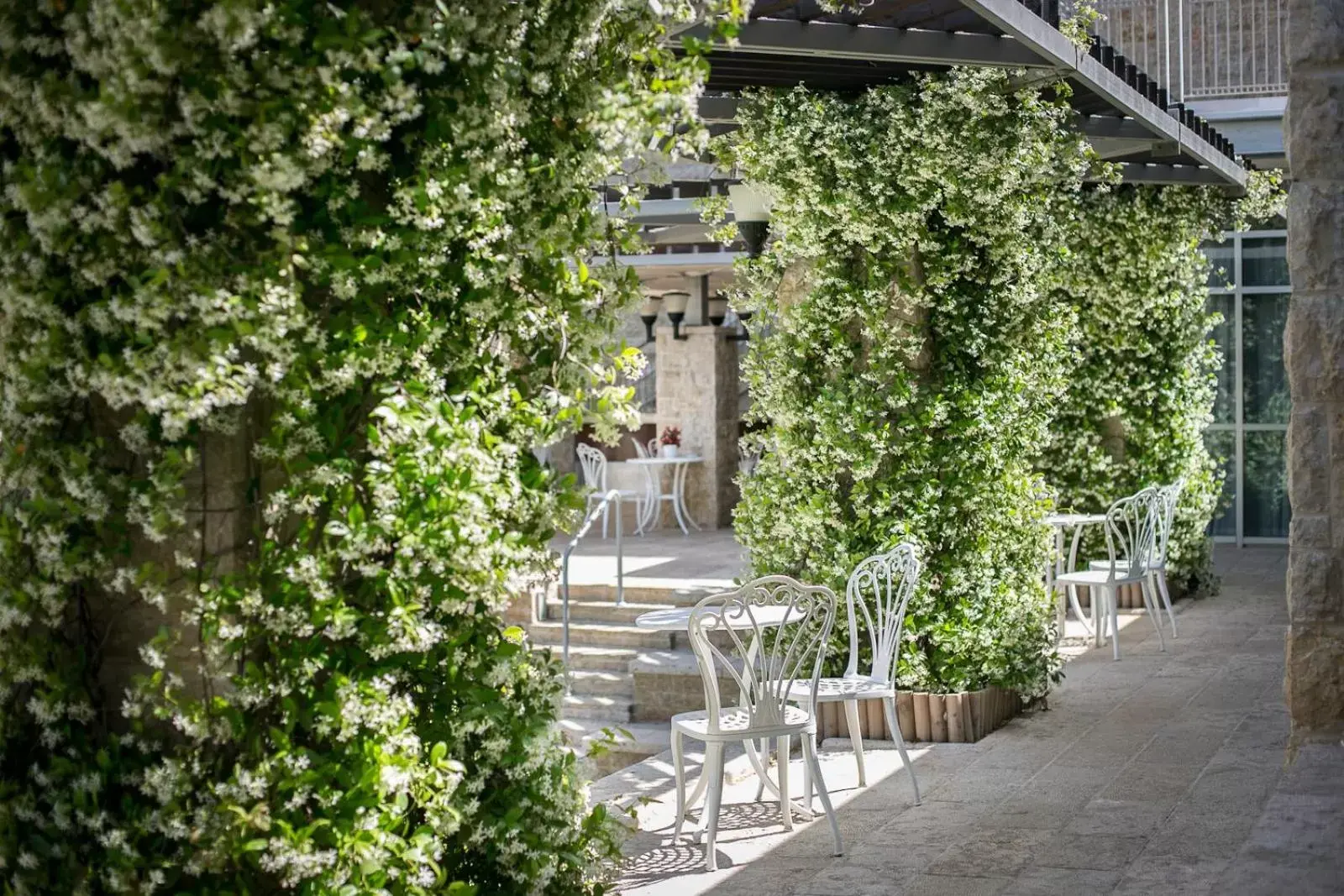 Patio in Hotel Yehuda