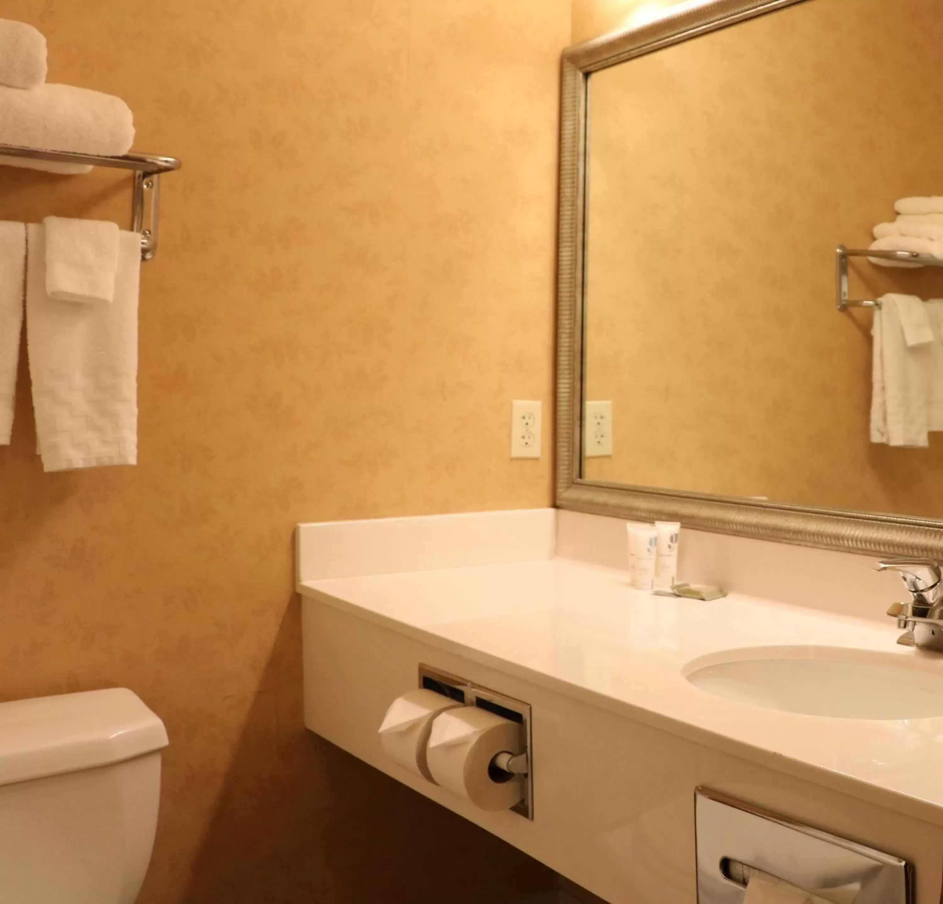 Bathroom in Country Inn & Suites by Radisson, Lincoln North Hotel and Conference Center, NE