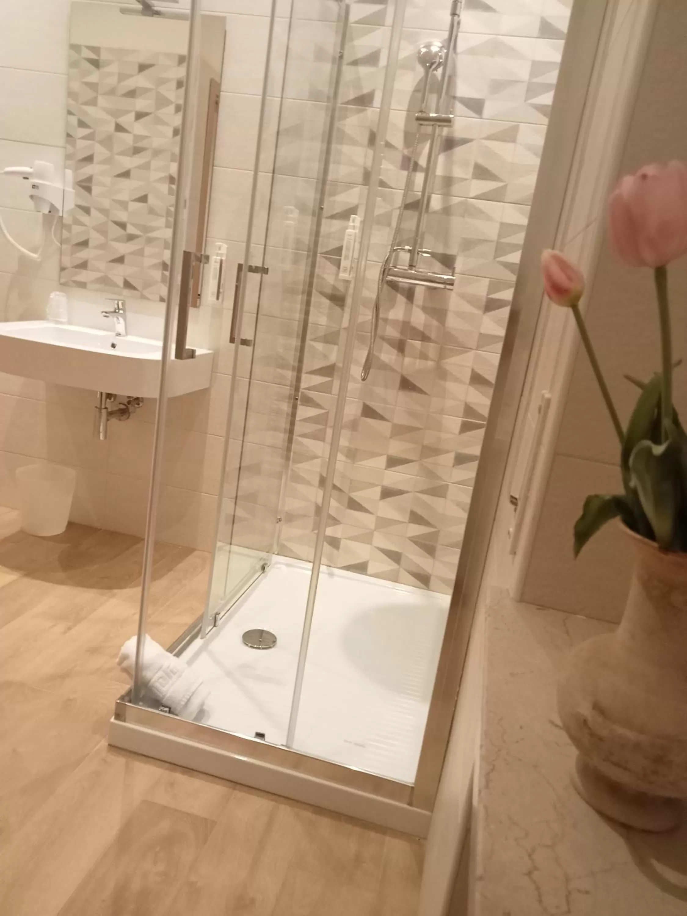 Shower in Hotel Porta Rivera