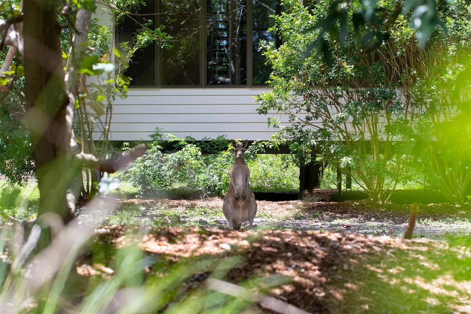 Natural landscape in Eumarella Shores Noosa Lake Retreat