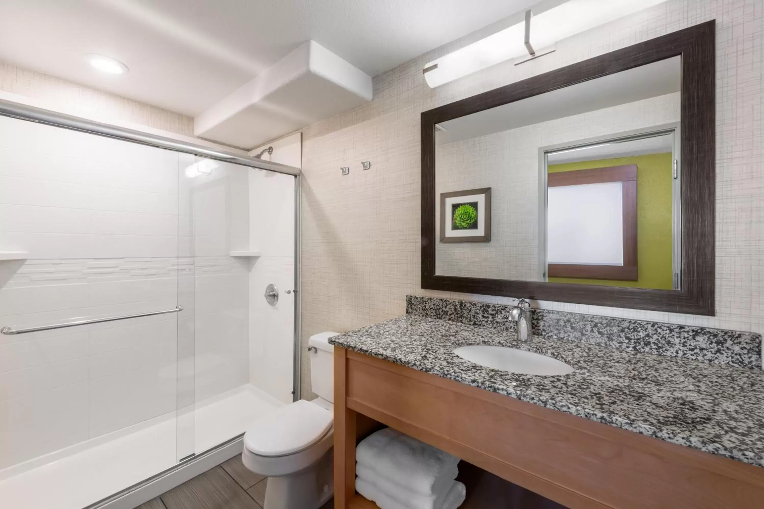 Photo of the whole room, Bathroom in Holiday Inn Express & Suites Wheat Ridge-Denver West, an IHG Hotel