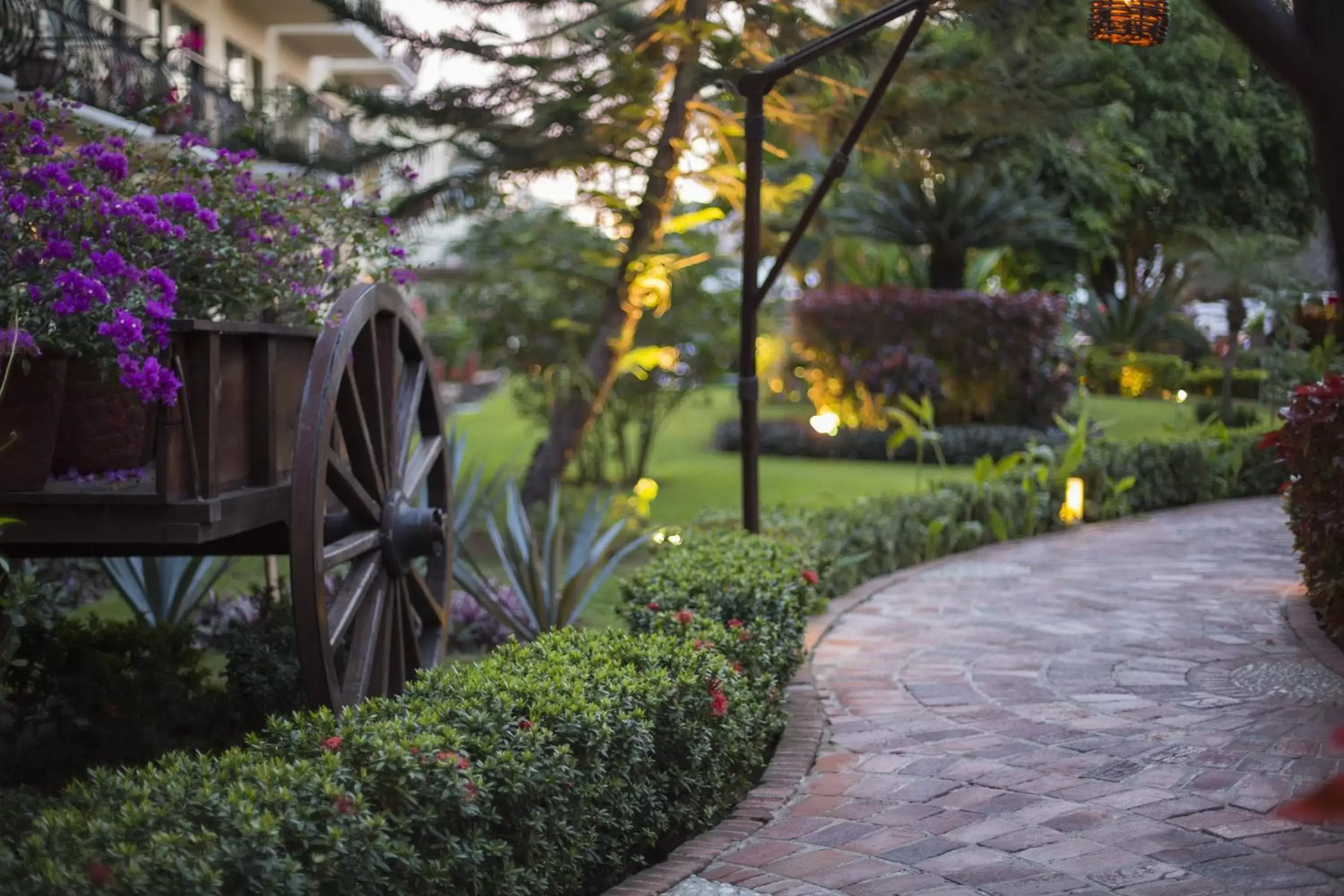 Natural landscape, Garden in Flamingo Vallarta Hotel & Marina