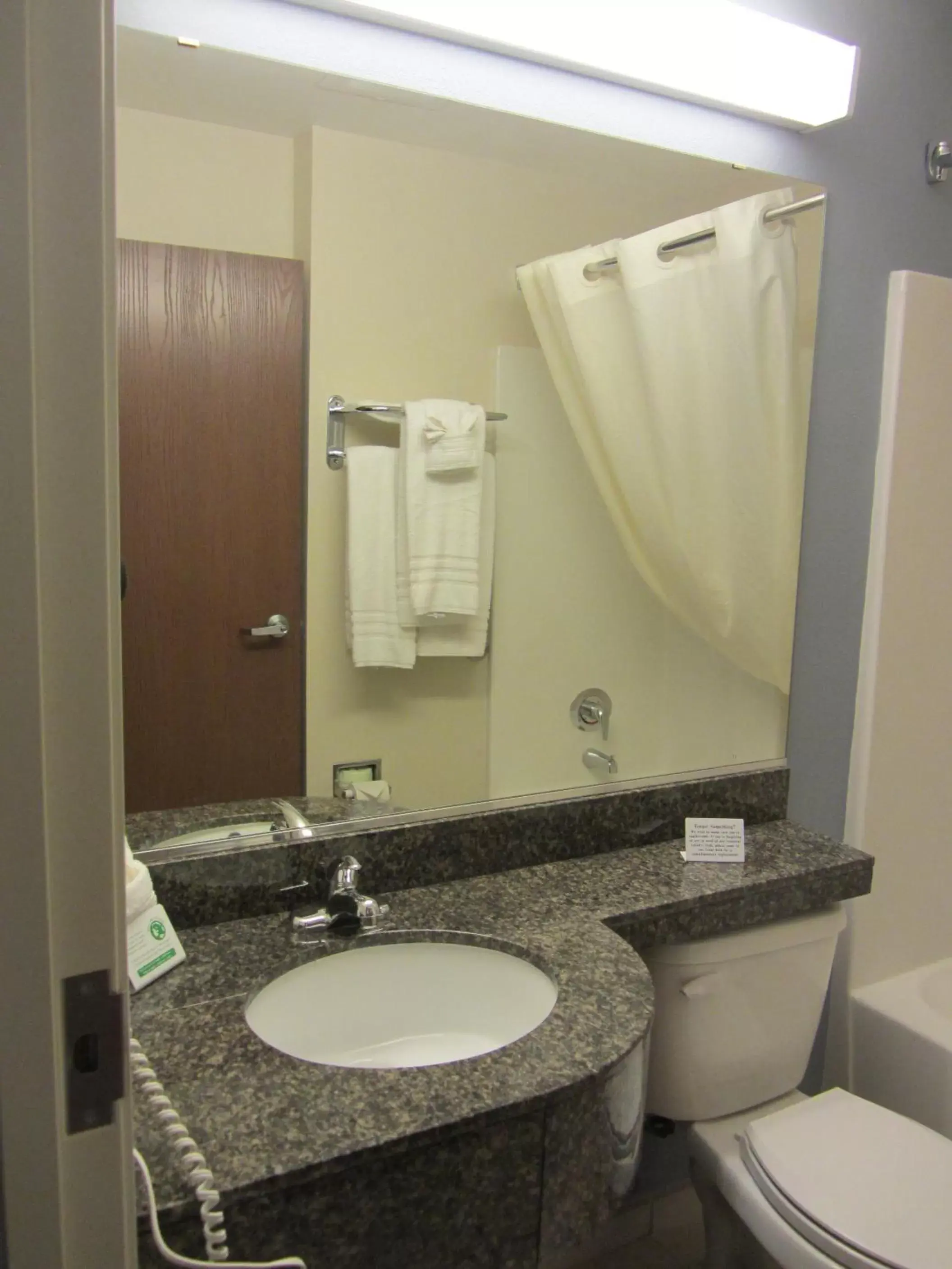 Shower, Bathroom in Microtel Inn and Suites San Angelo