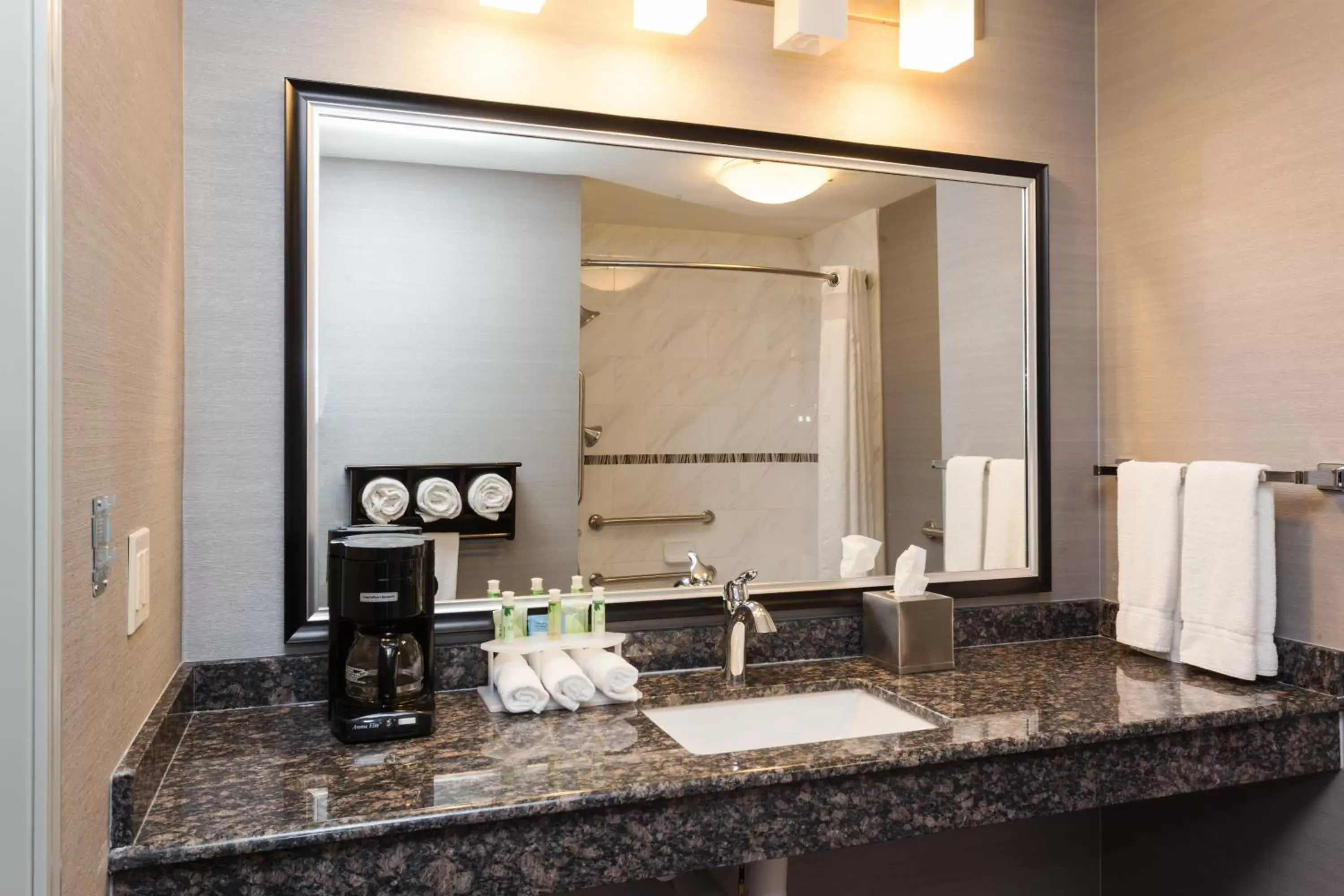 Photo of the whole room, Bathroom in Holiday Inn Express & Suites Rapid City, an IHG Hotel