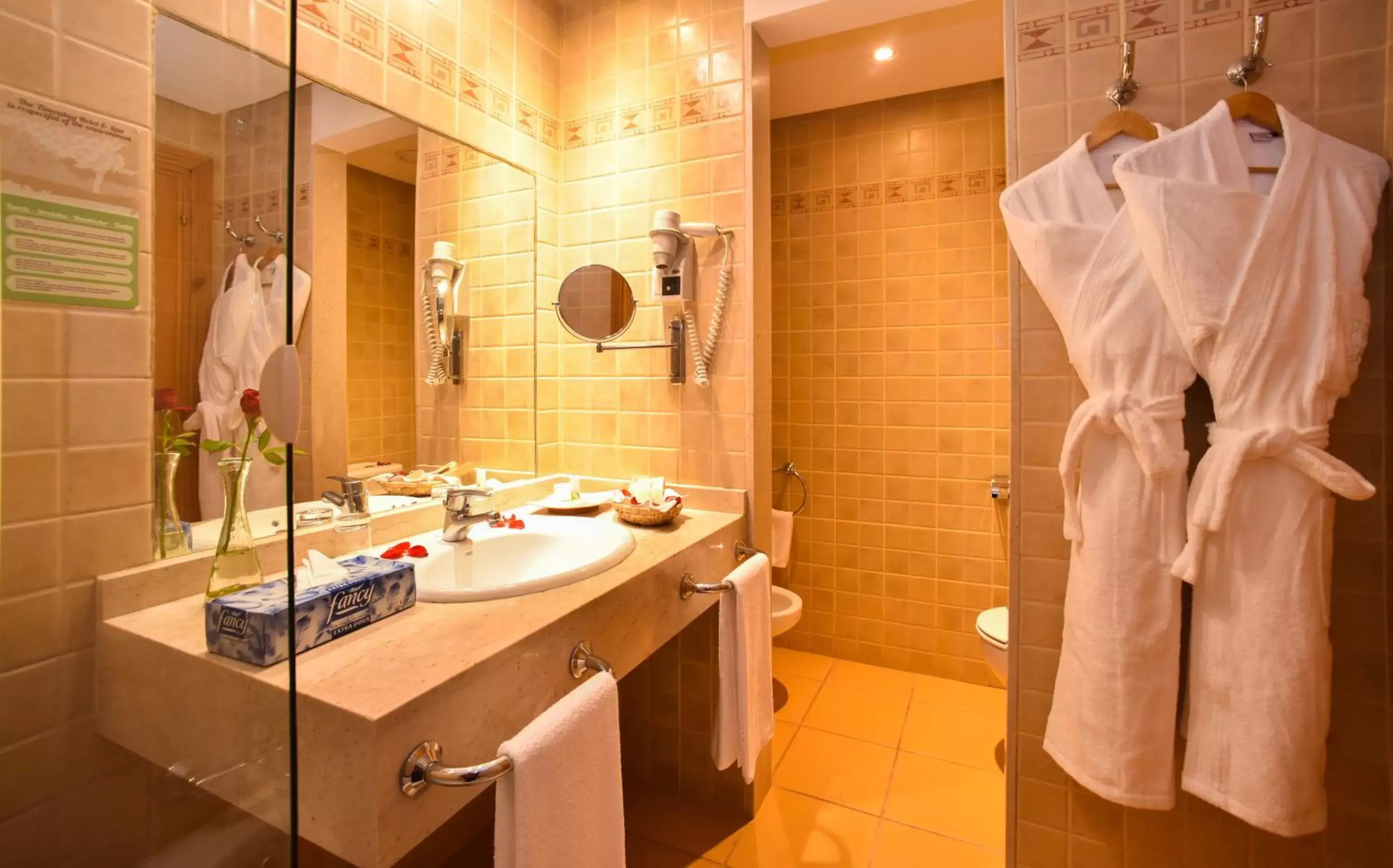 Shower, Bathroom in Hotel Timoulay and Spa Agadir