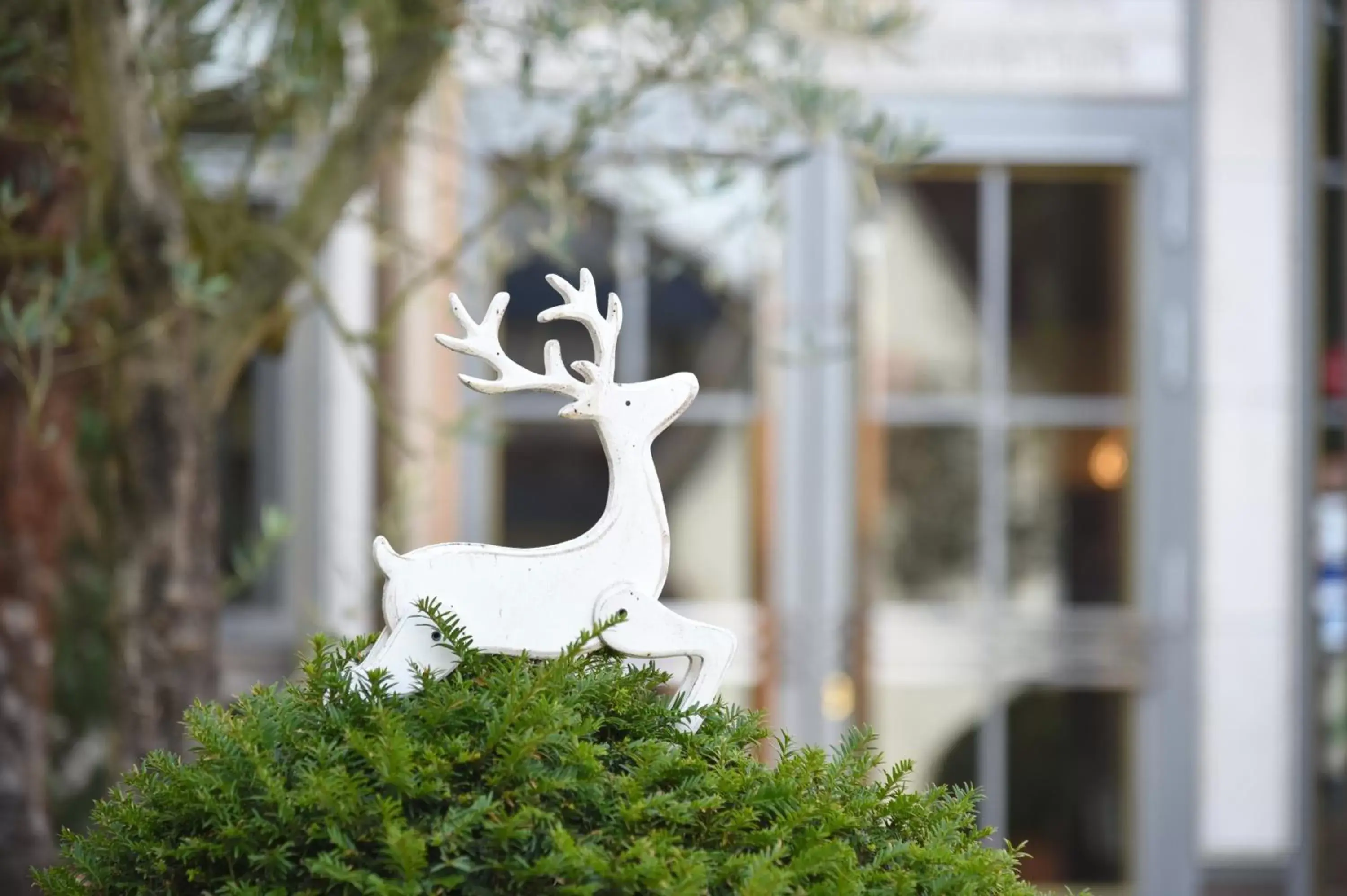 Decorative detail, Other Animals in Hotel Hirschen in Freiburg-Lehen