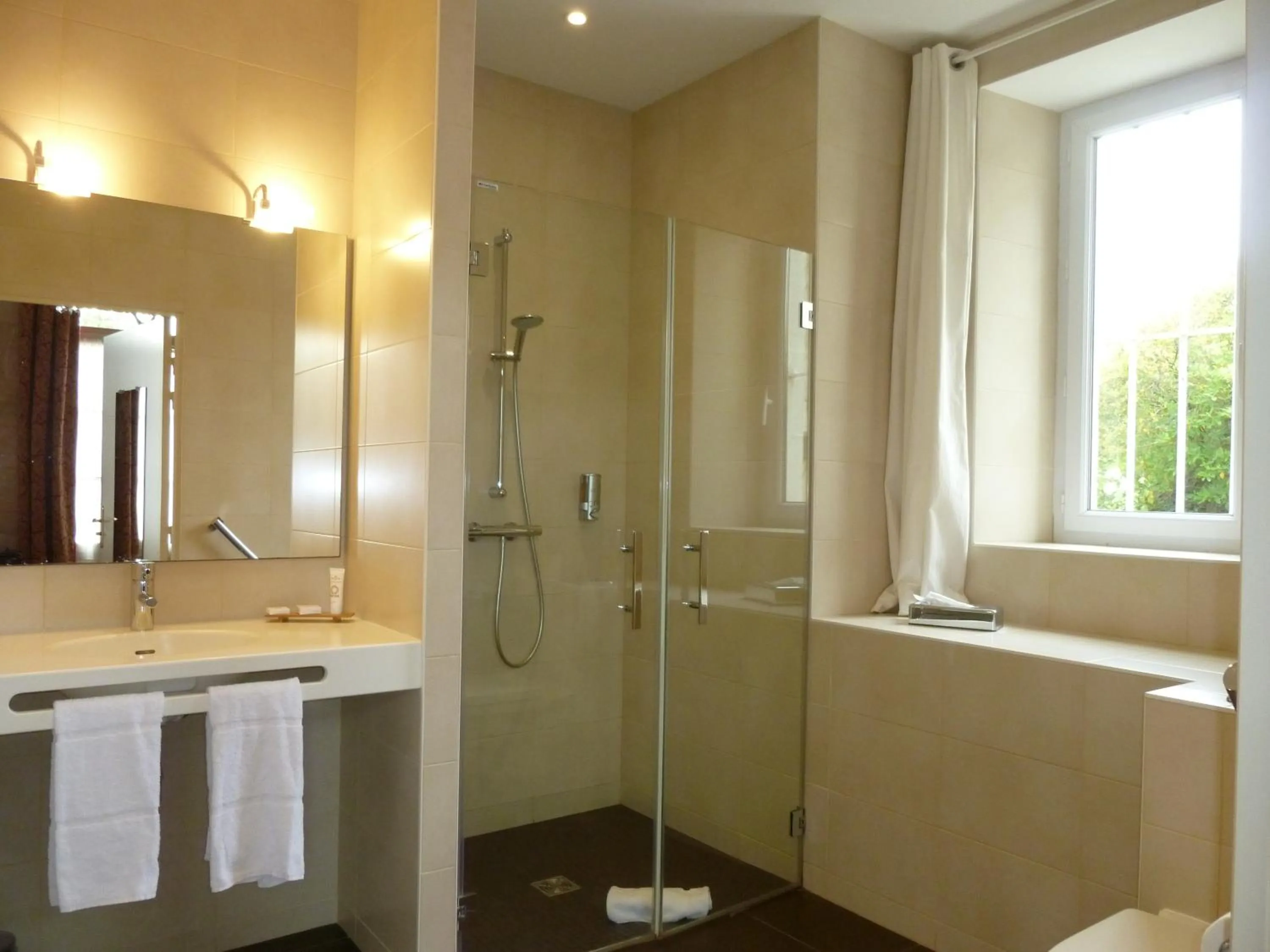 Bathroom in Hôtel Grand Monarque