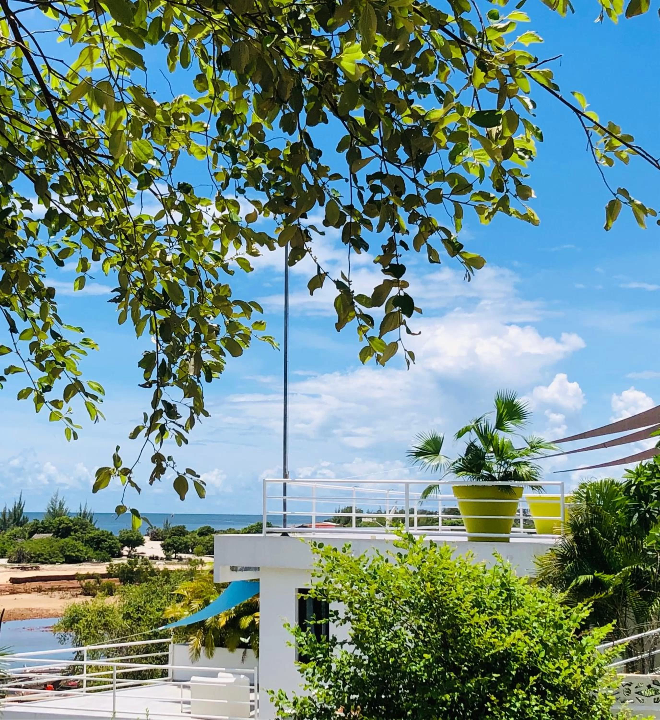 Patio in PAP'S Chambres d'Hôtes