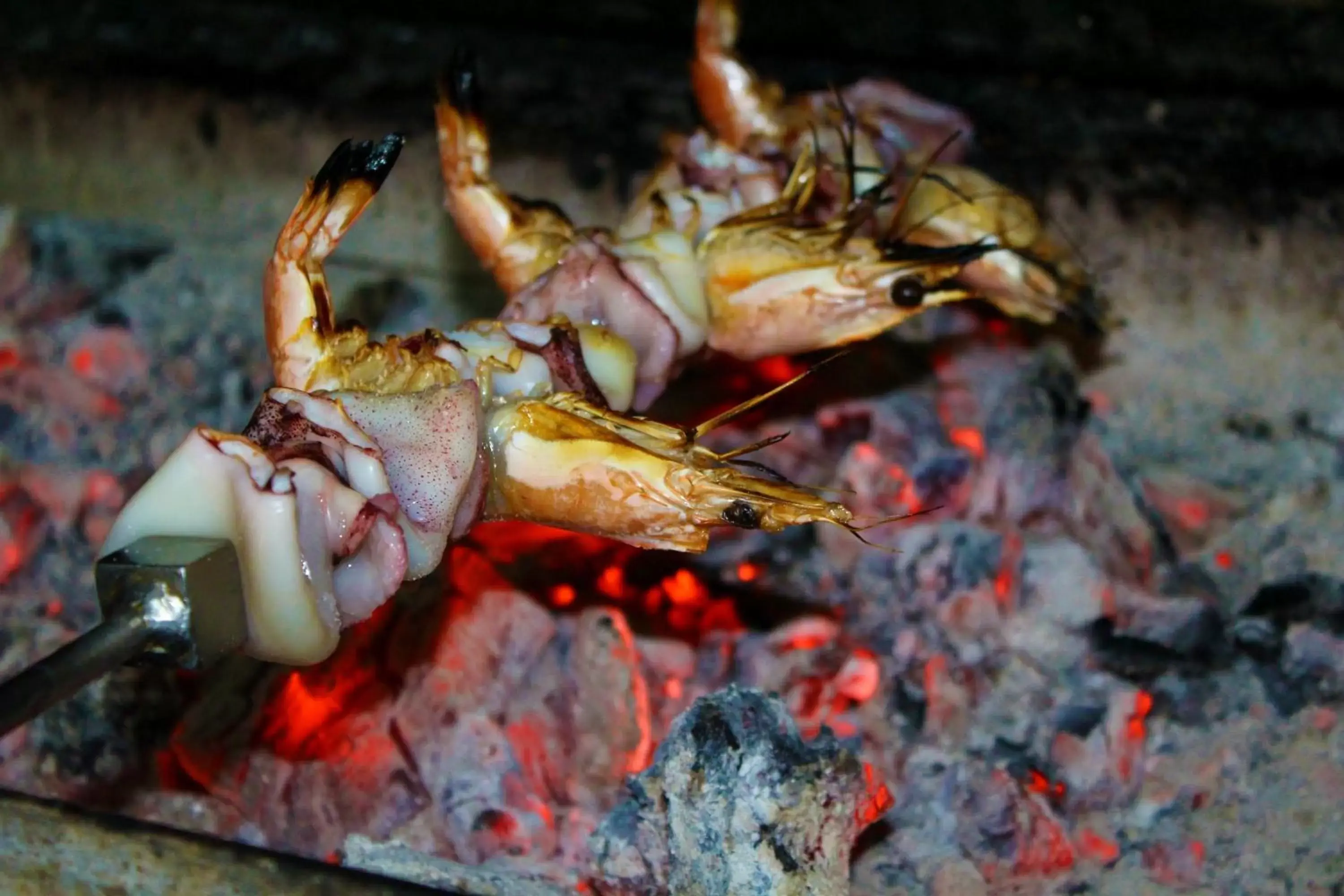 Food close-up, Other Animals in Alambique - Hotel Resort & Spa