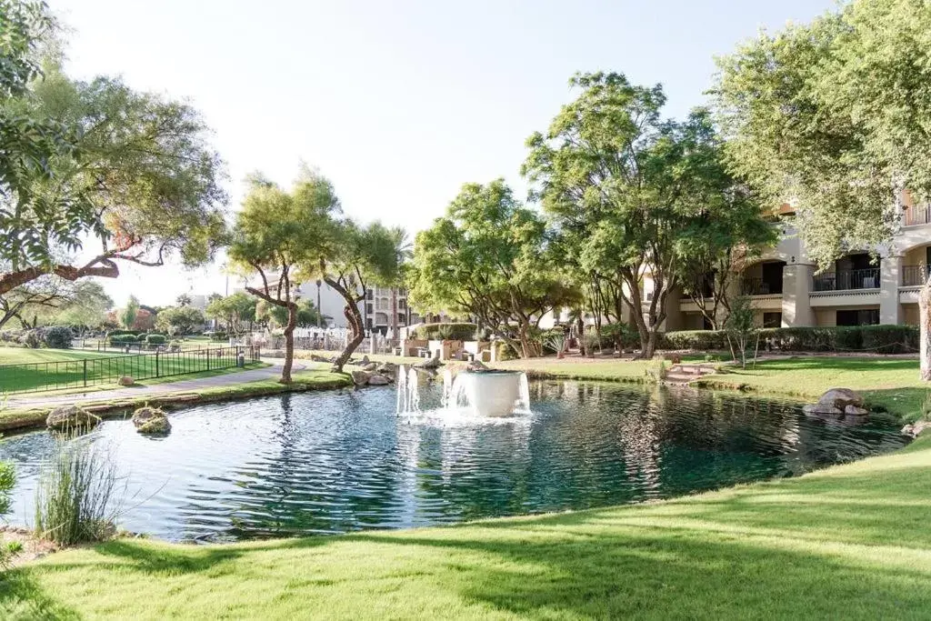 Garden, Swimming Pool in Fairmont Scottsdale Princess