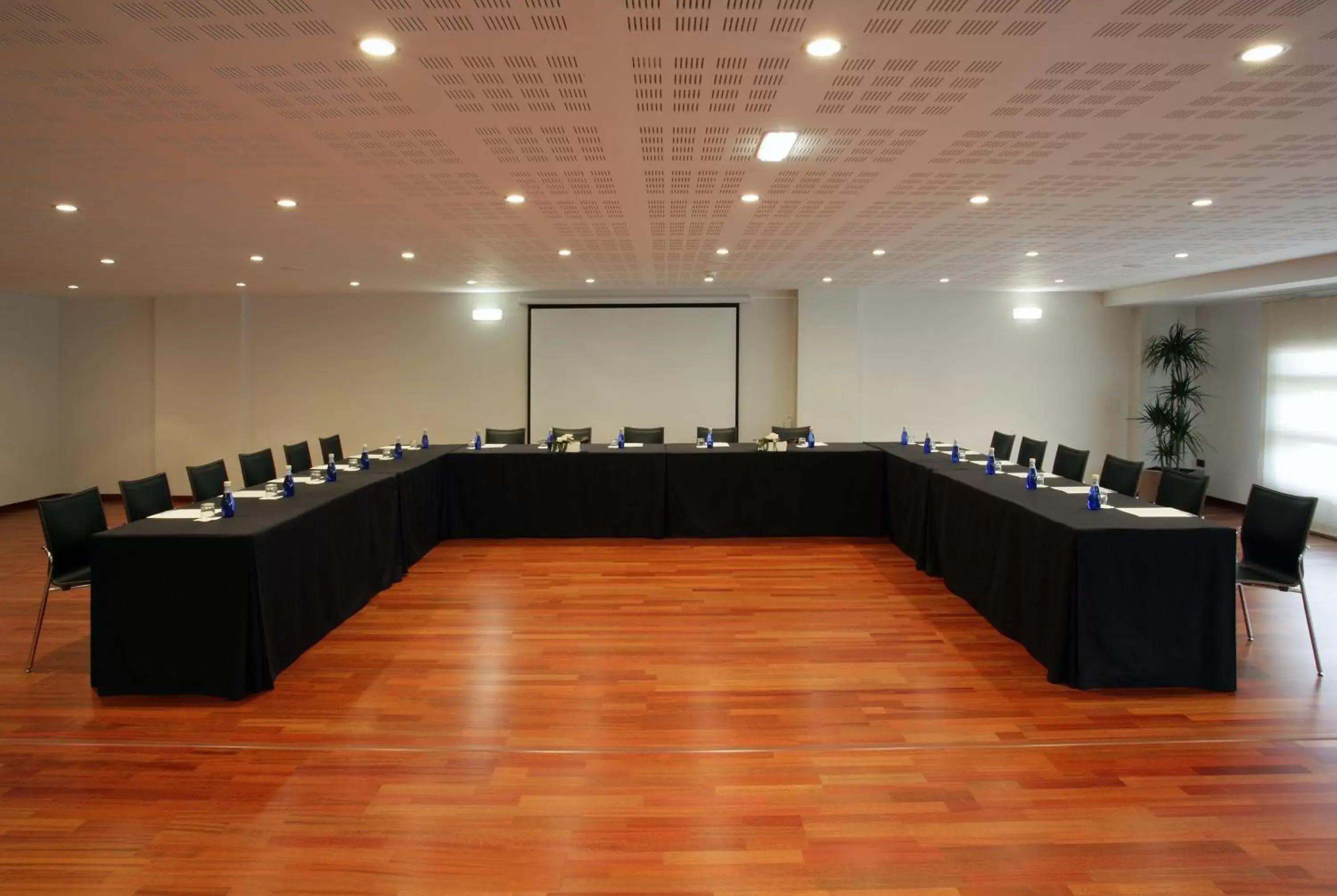 Business facilities in Hotel Europa