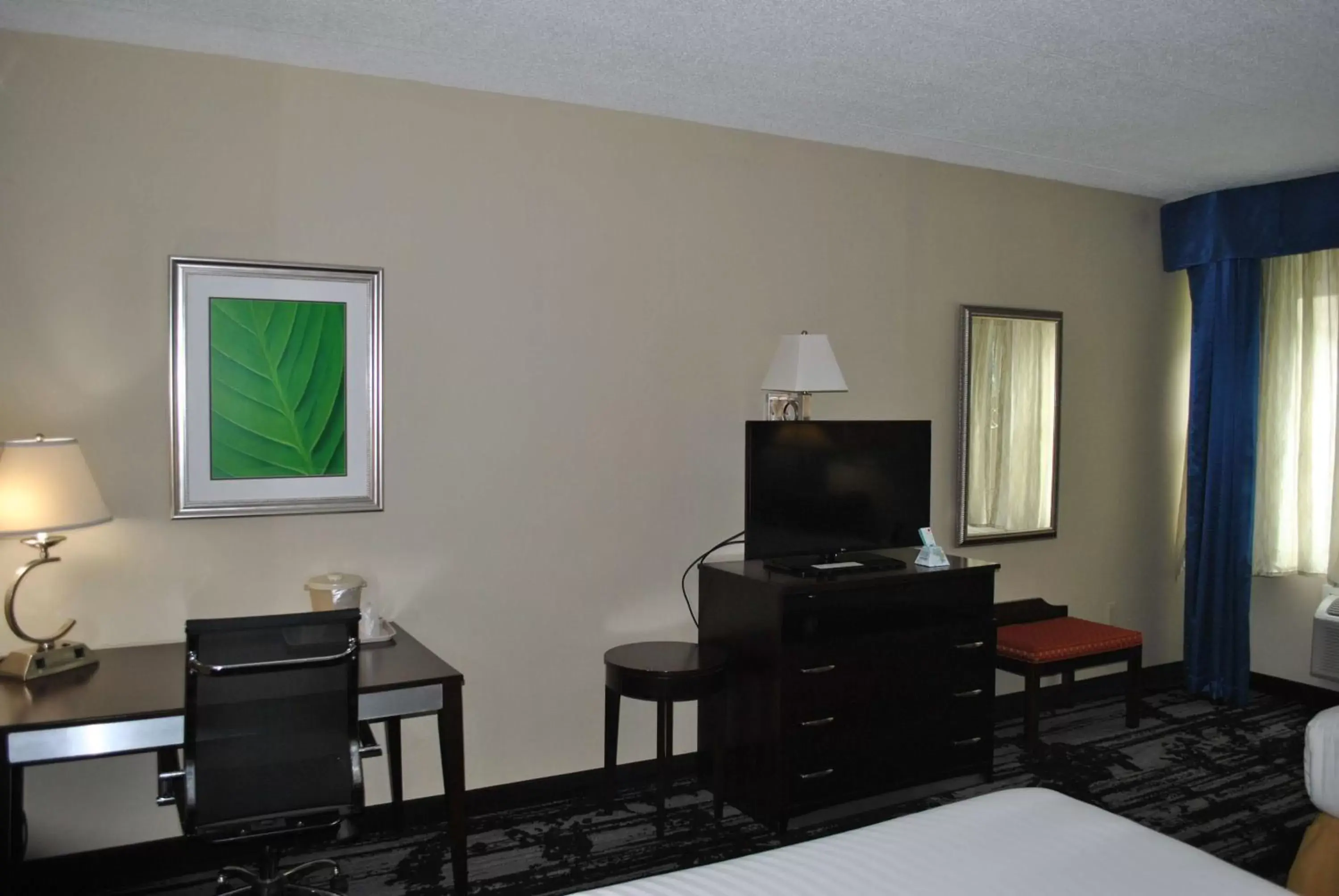 Photo of the whole room, TV/Entertainment Center in Best Western Owego Inn