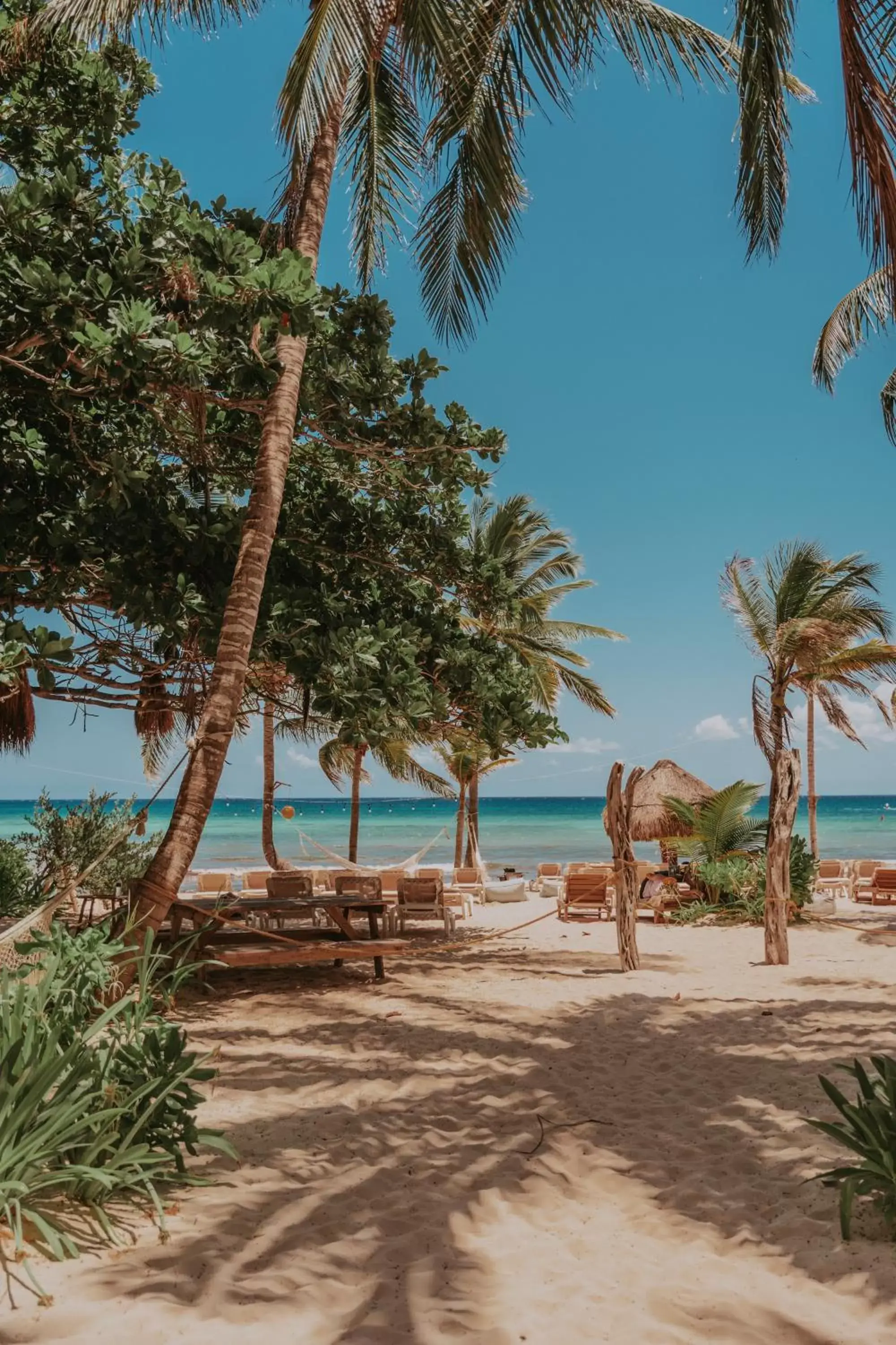 Beach in Petit Lafitte Beach Front Hotel & Bungalows