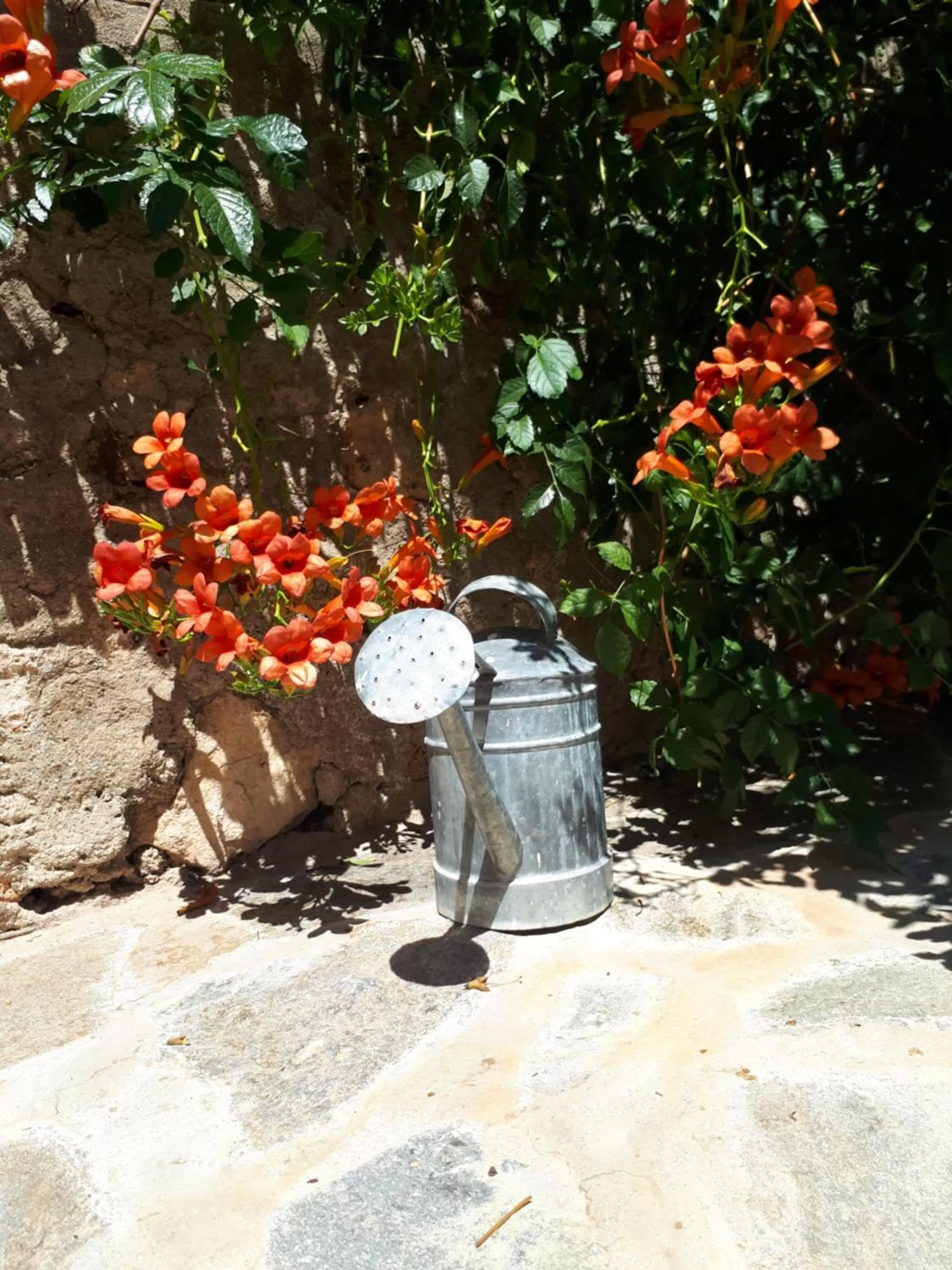 Spring in La Posada Amena