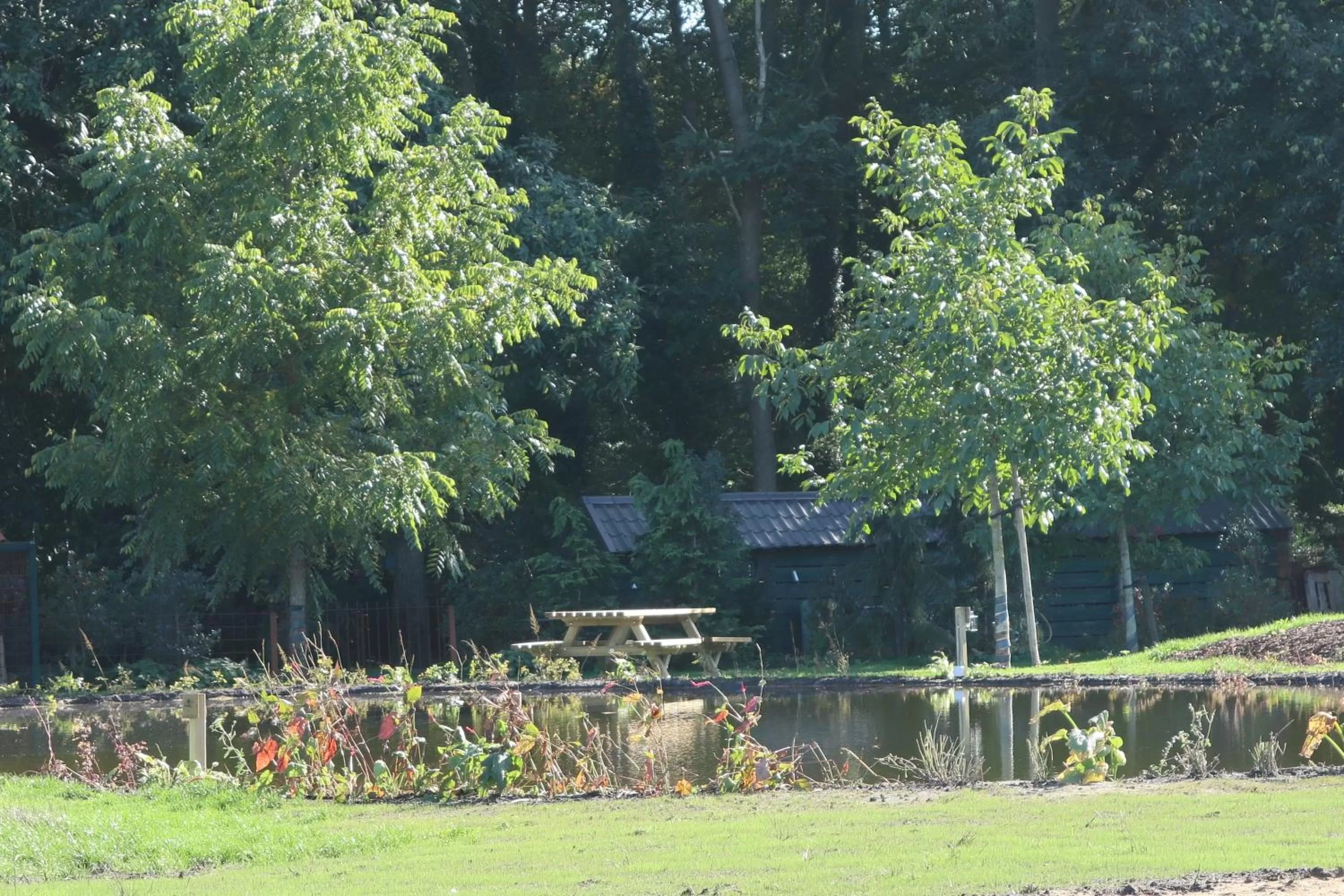 Garden in B&B Kamperfoelie