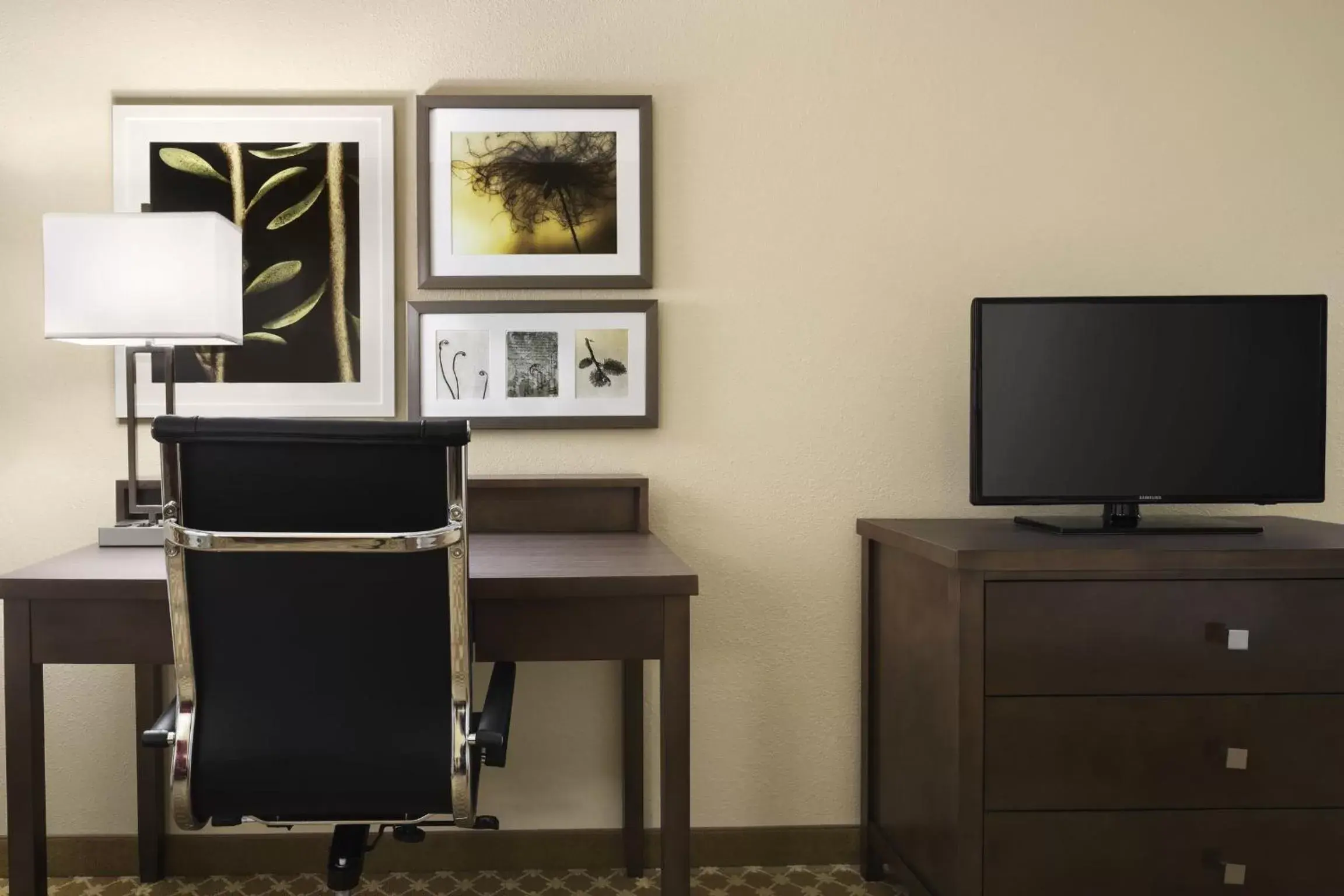 Decorative detail, TV/Entertainment Center in Country Inn & Suites by Radisson, Manteno, IL