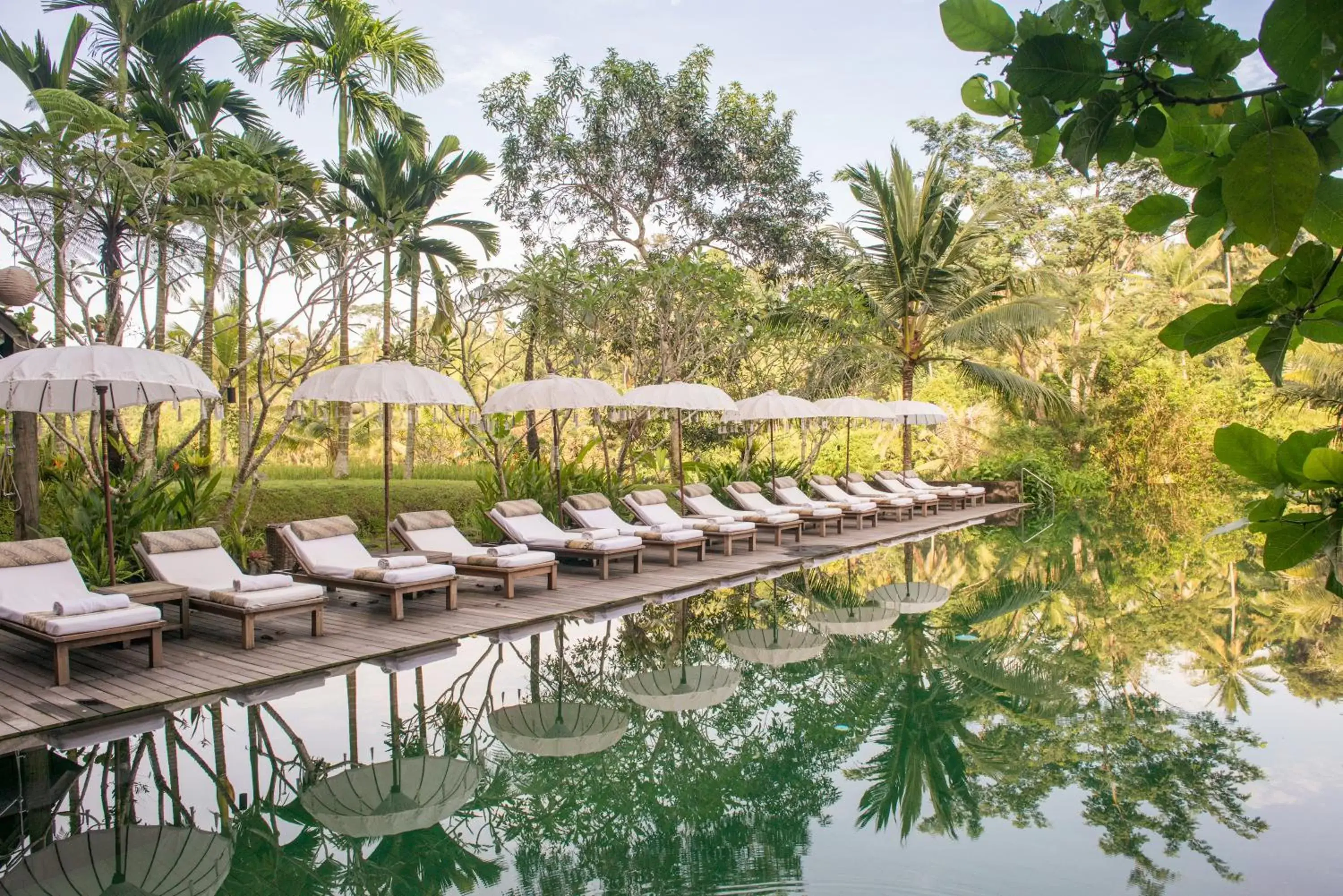 Pool view in Komaneka at Bisma Ubud Pool view in Komaneka at Bisma Ubud