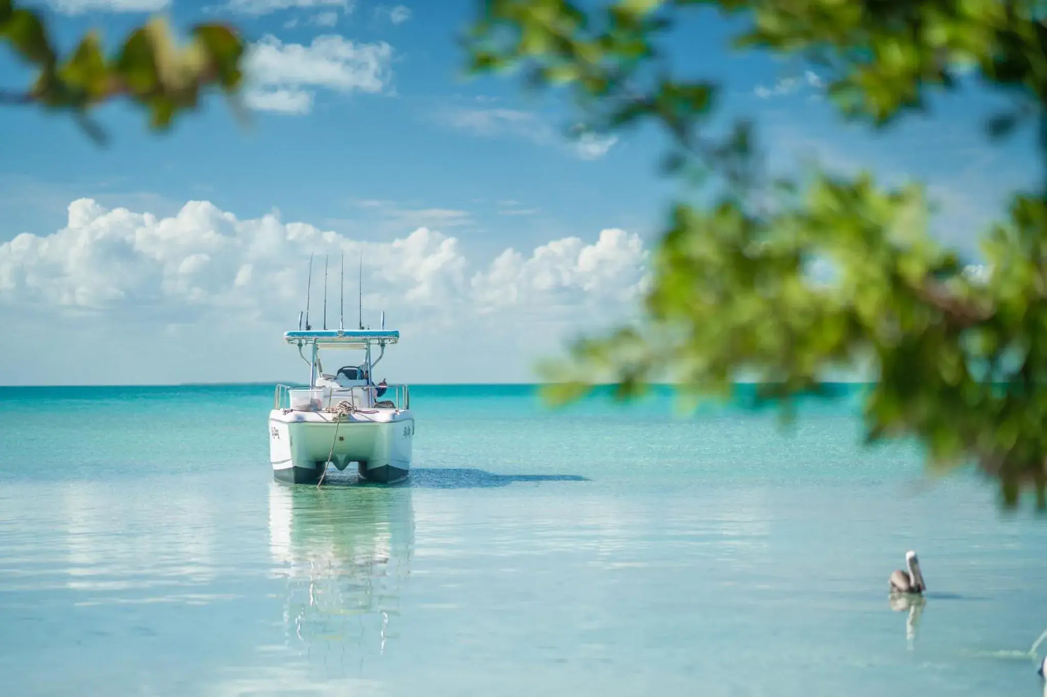 Activities in Margaritaville Beach Resort Ambergris Caye - Belize