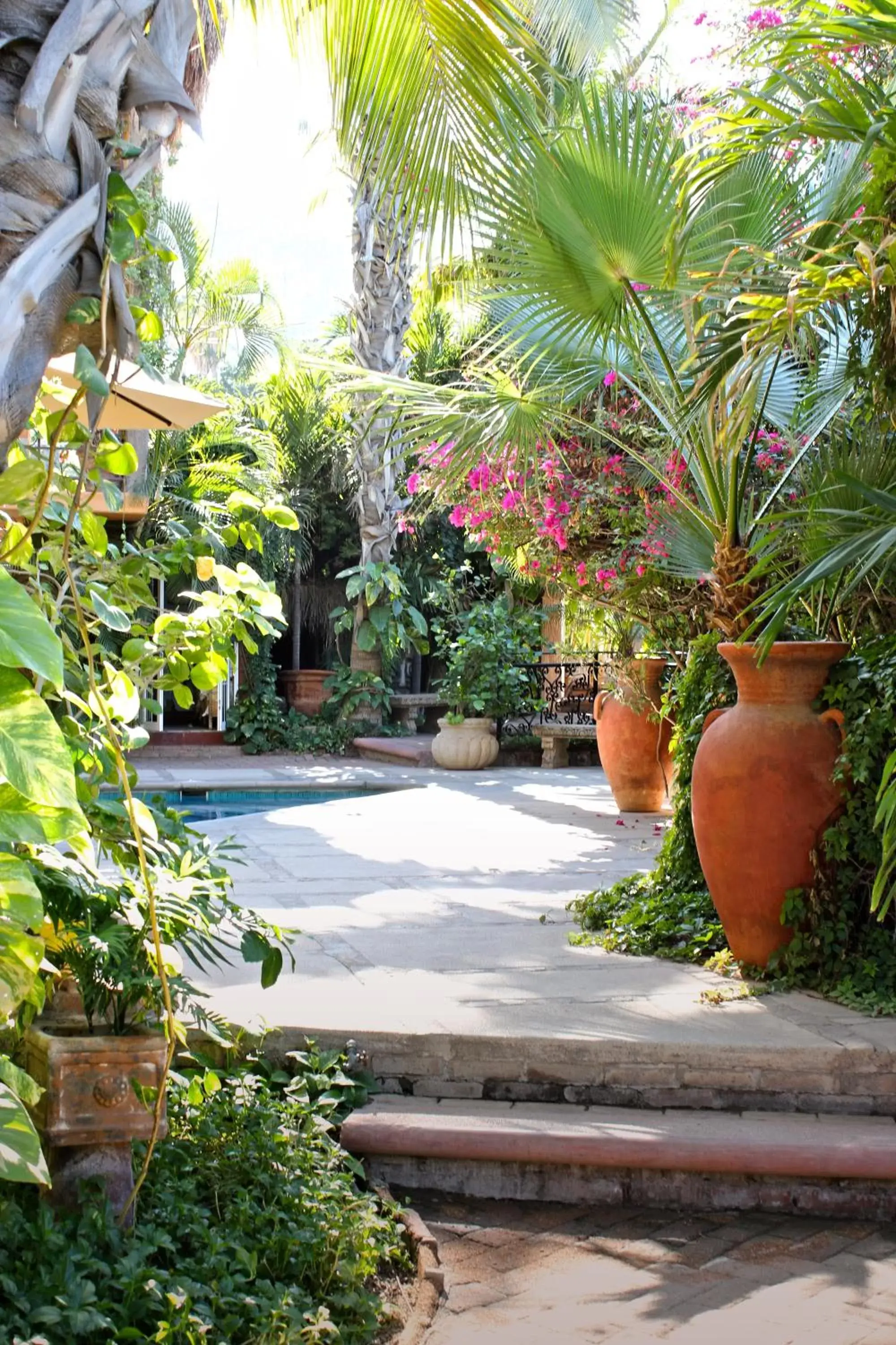 Garden in The Bungalows Hotel