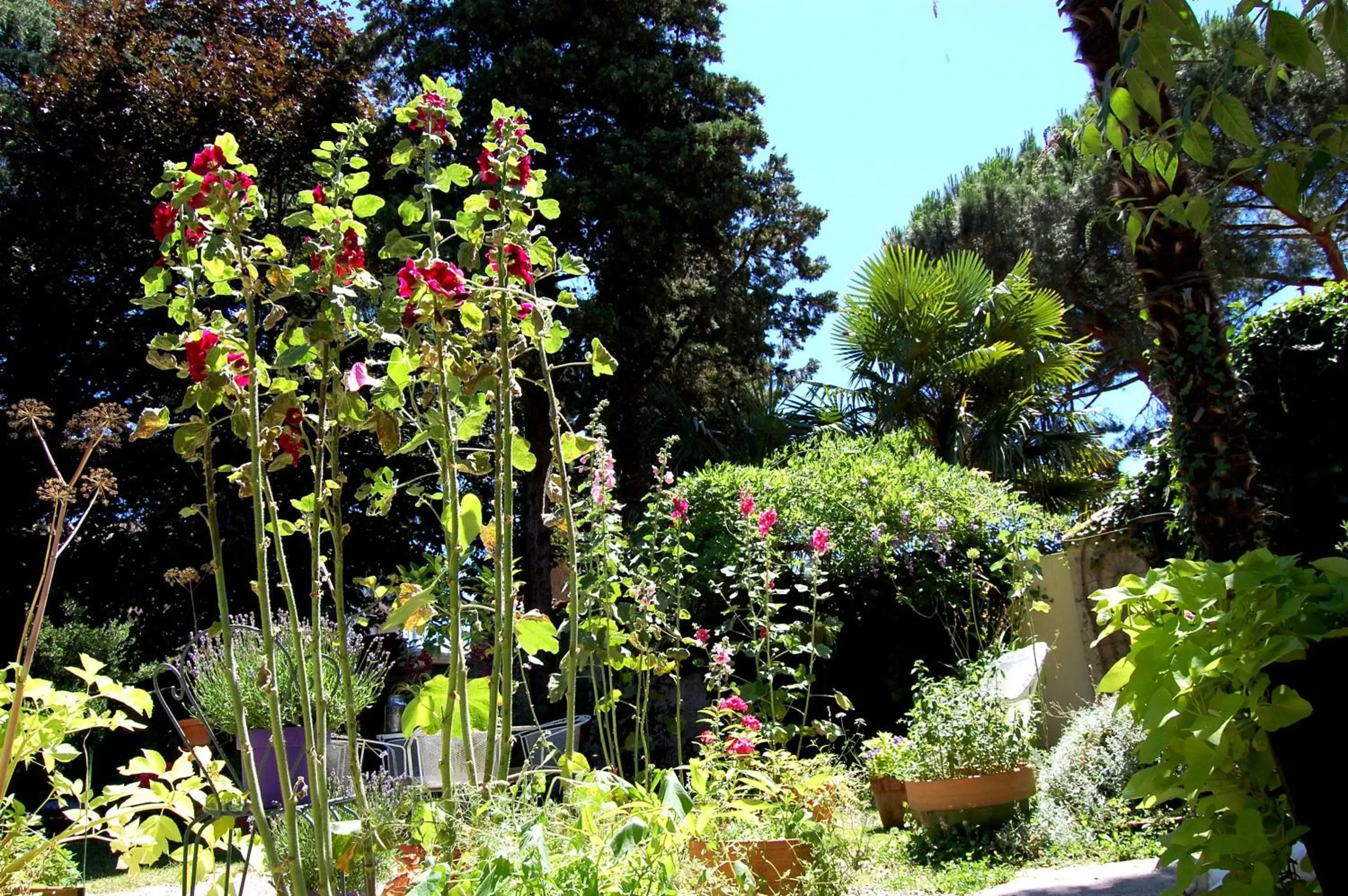 Natural landscape, Garden in Madeleine Bergerac