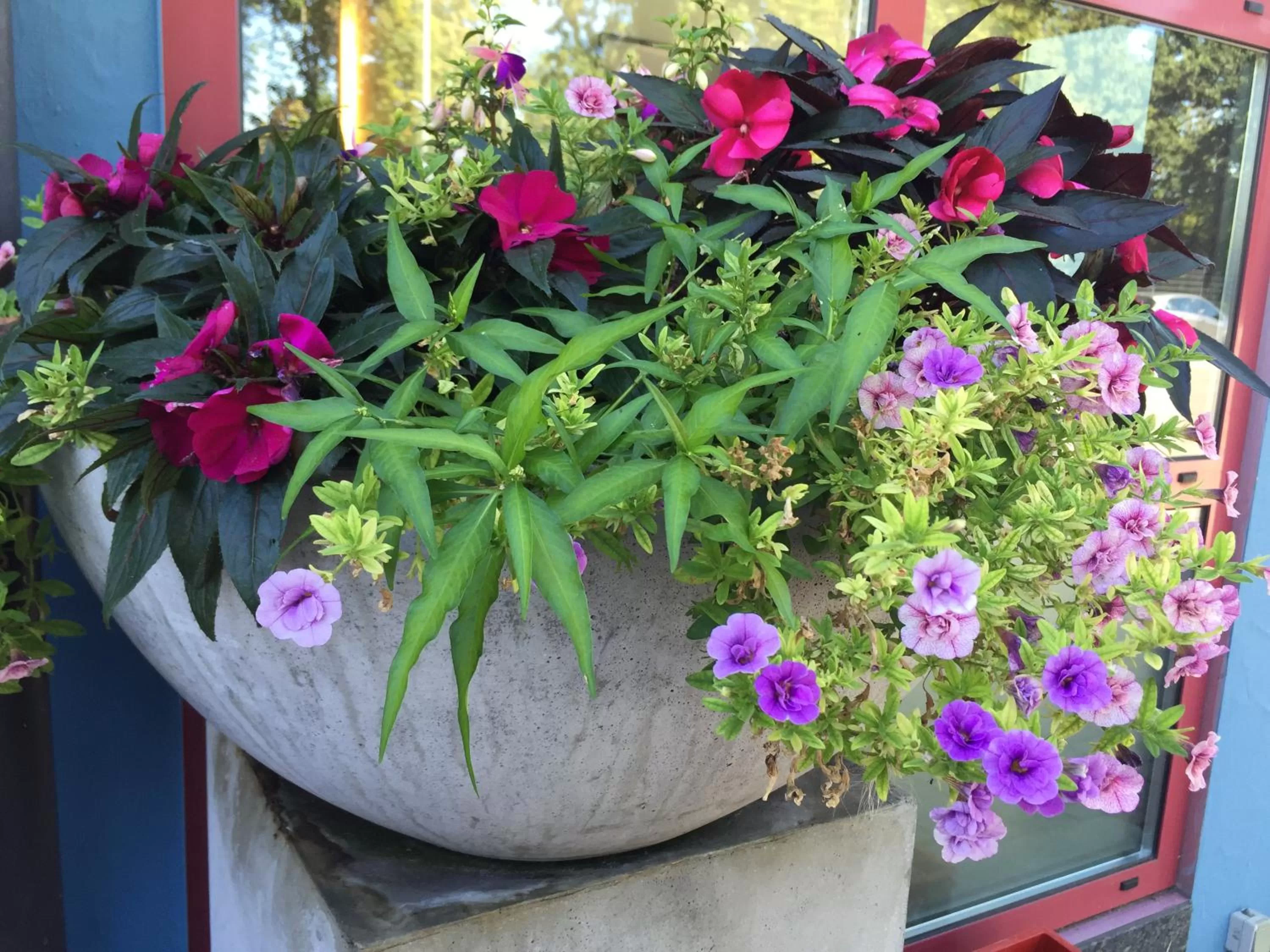 Facade/entrance in Arthotel Restaurant Pfeffermühle
