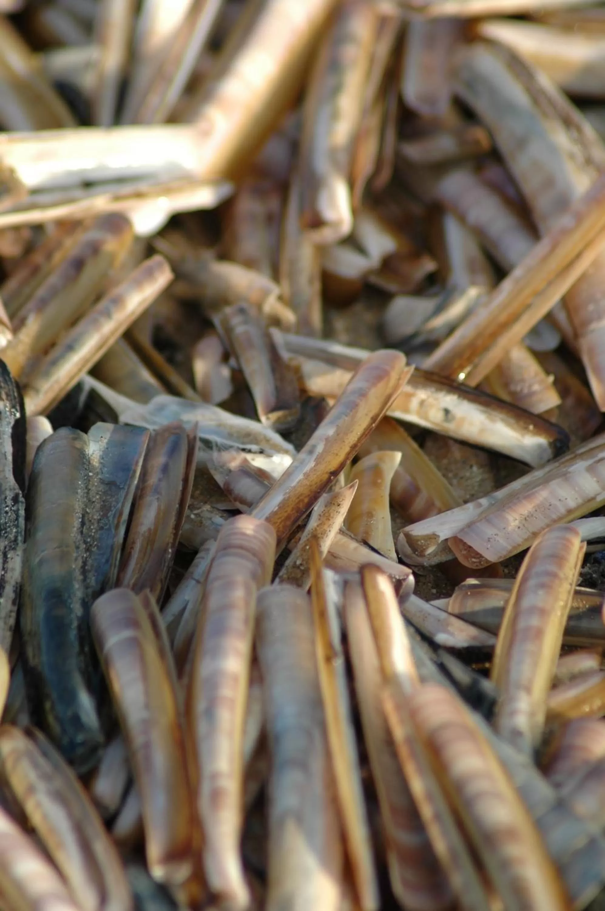 Decorative detail in Hotel De Golf