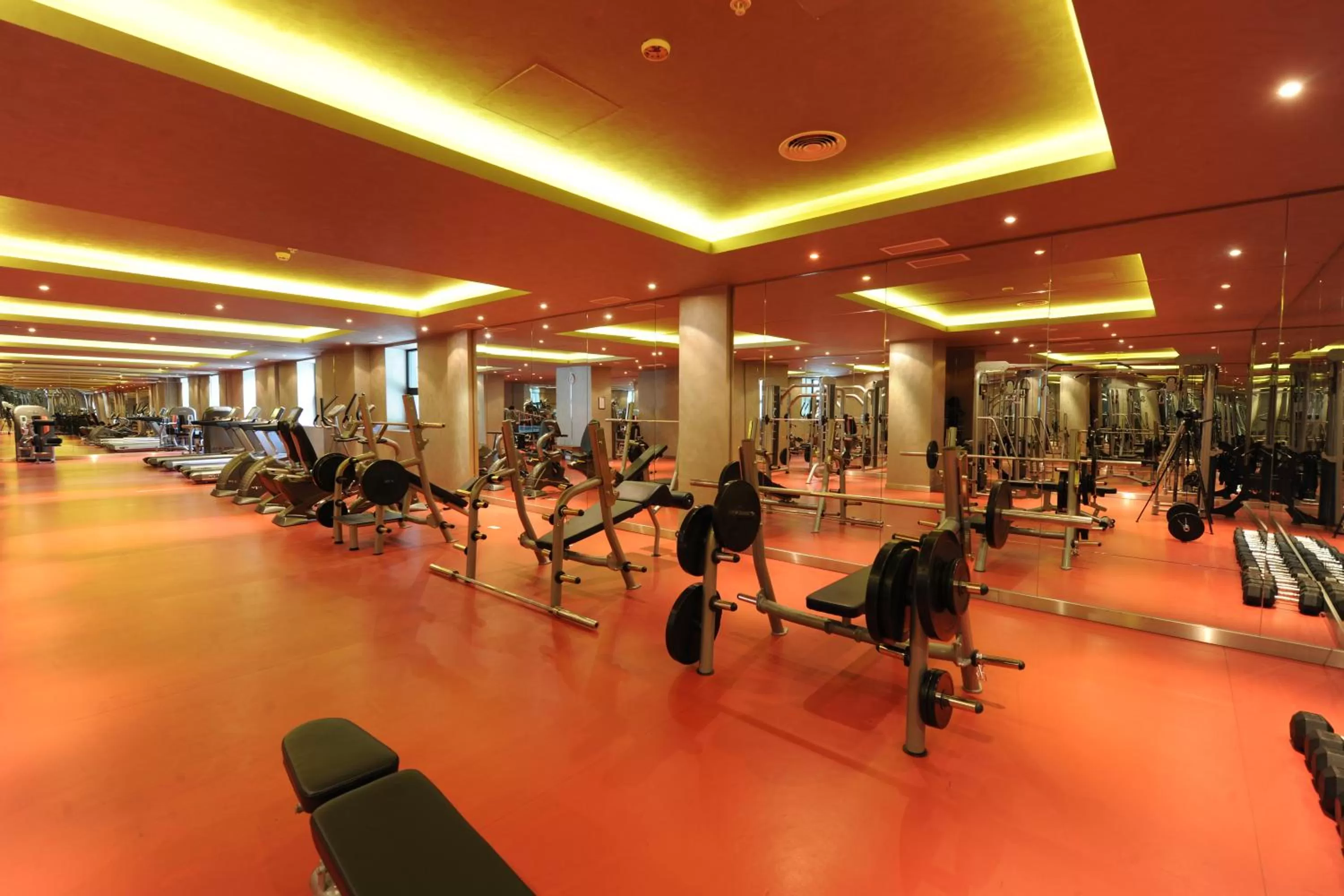 Fitness centre/facilities in Borjomi Likani Health & Spa Centre