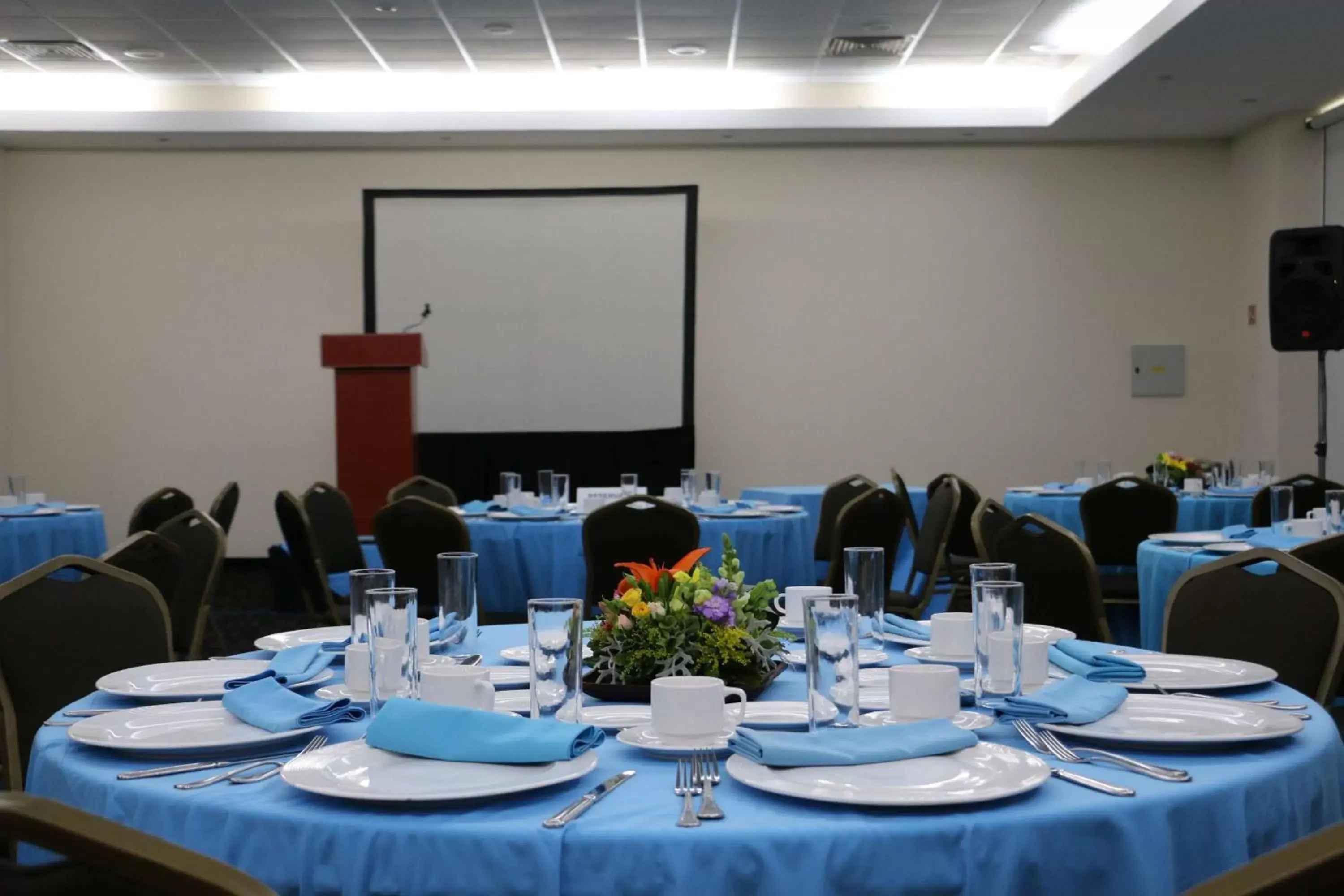 Banquet/Function facilities, Restaurant/Places to Eat in Radisson Poliforum Plaza Hotel Leon