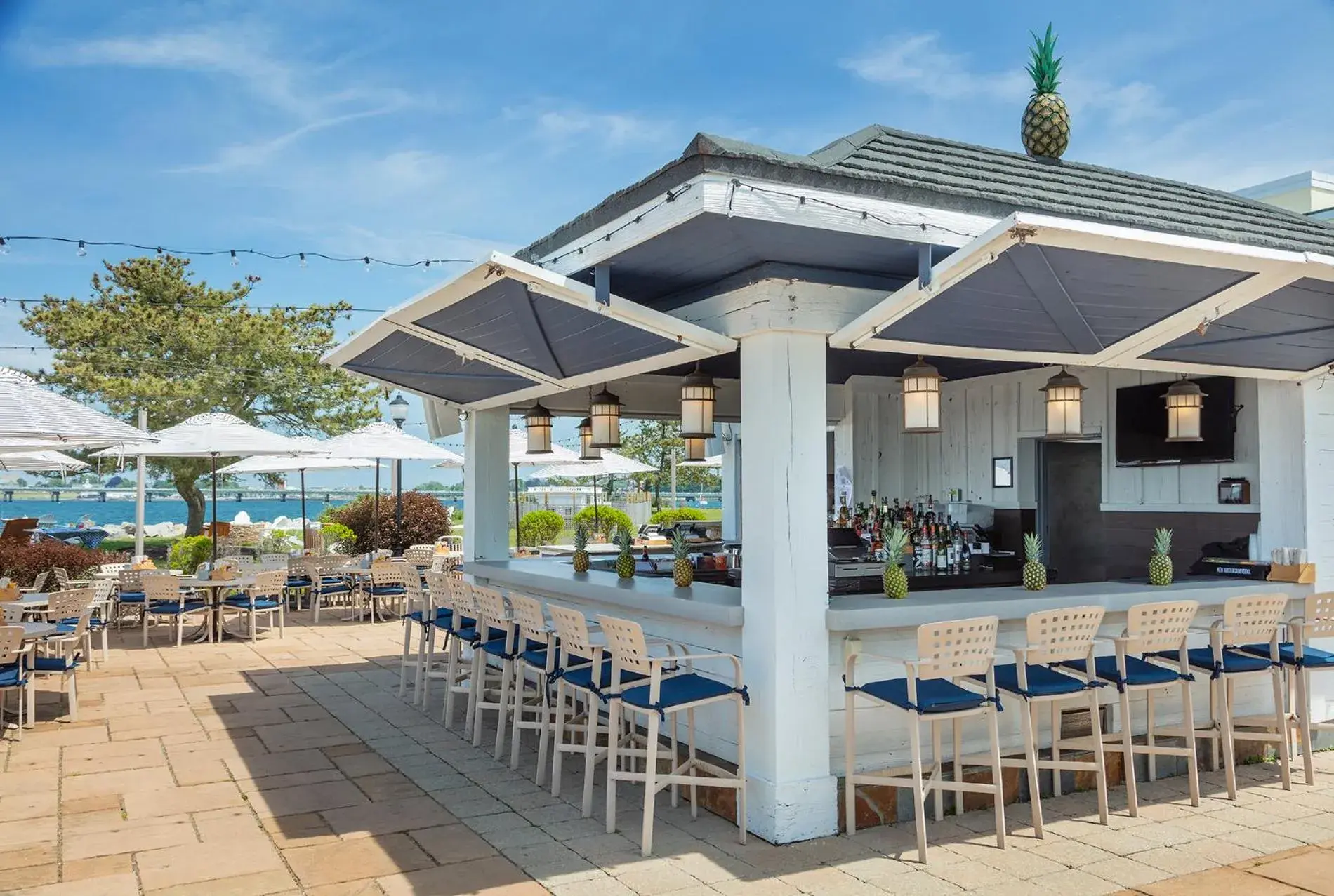 Lounge or bar, Lounge/Bar in Newport Harbor Island Resort