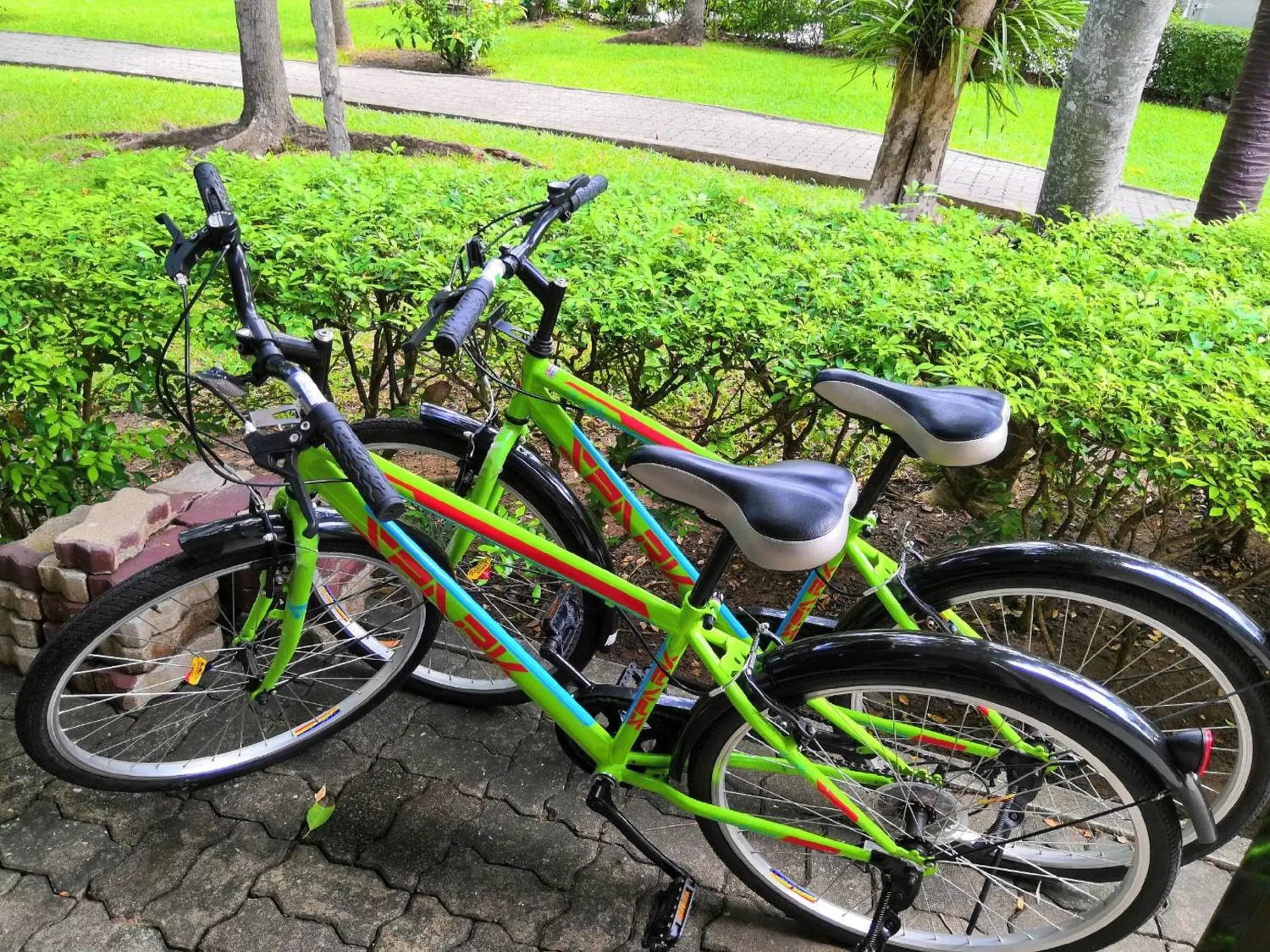 Spring, Biking in Regent - Chalet, Hua Hin