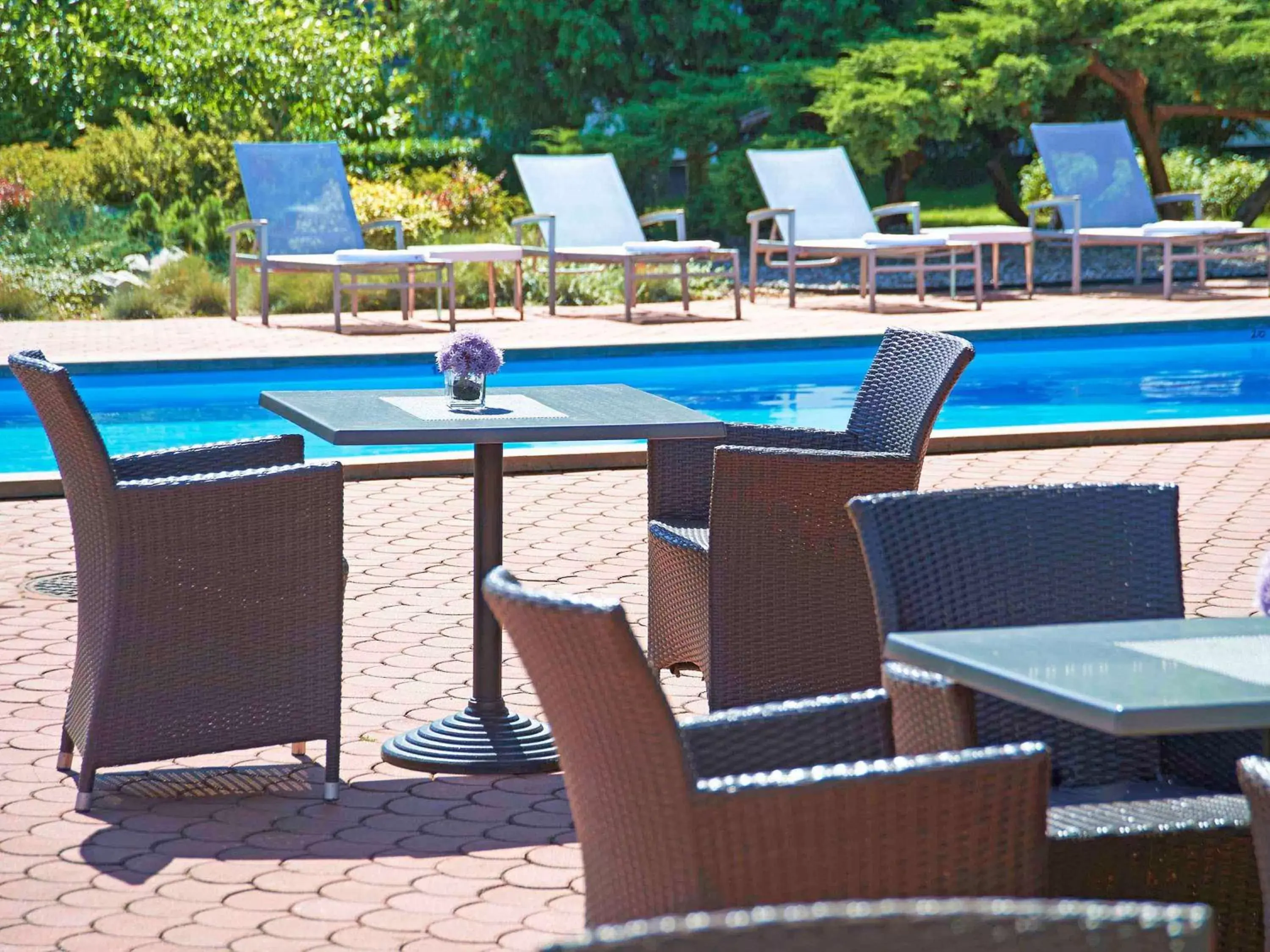 Lounge or bar, Swimming Pool in Novotel Poznań Malta