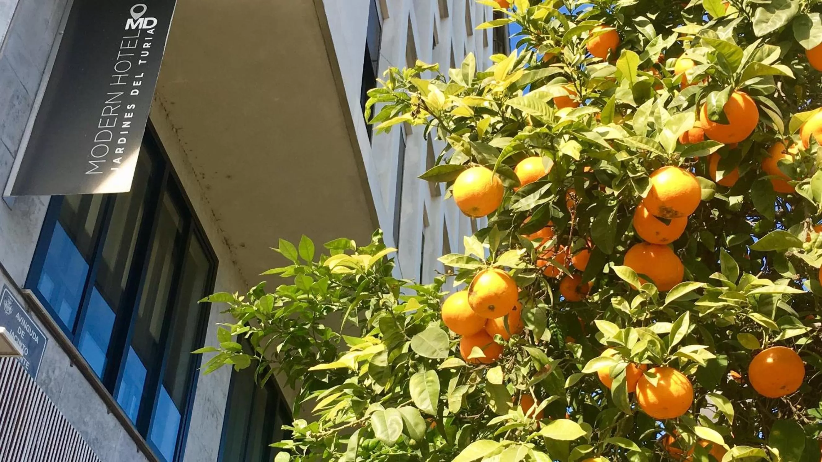 Property building in MD Modern Hotel - Jardines