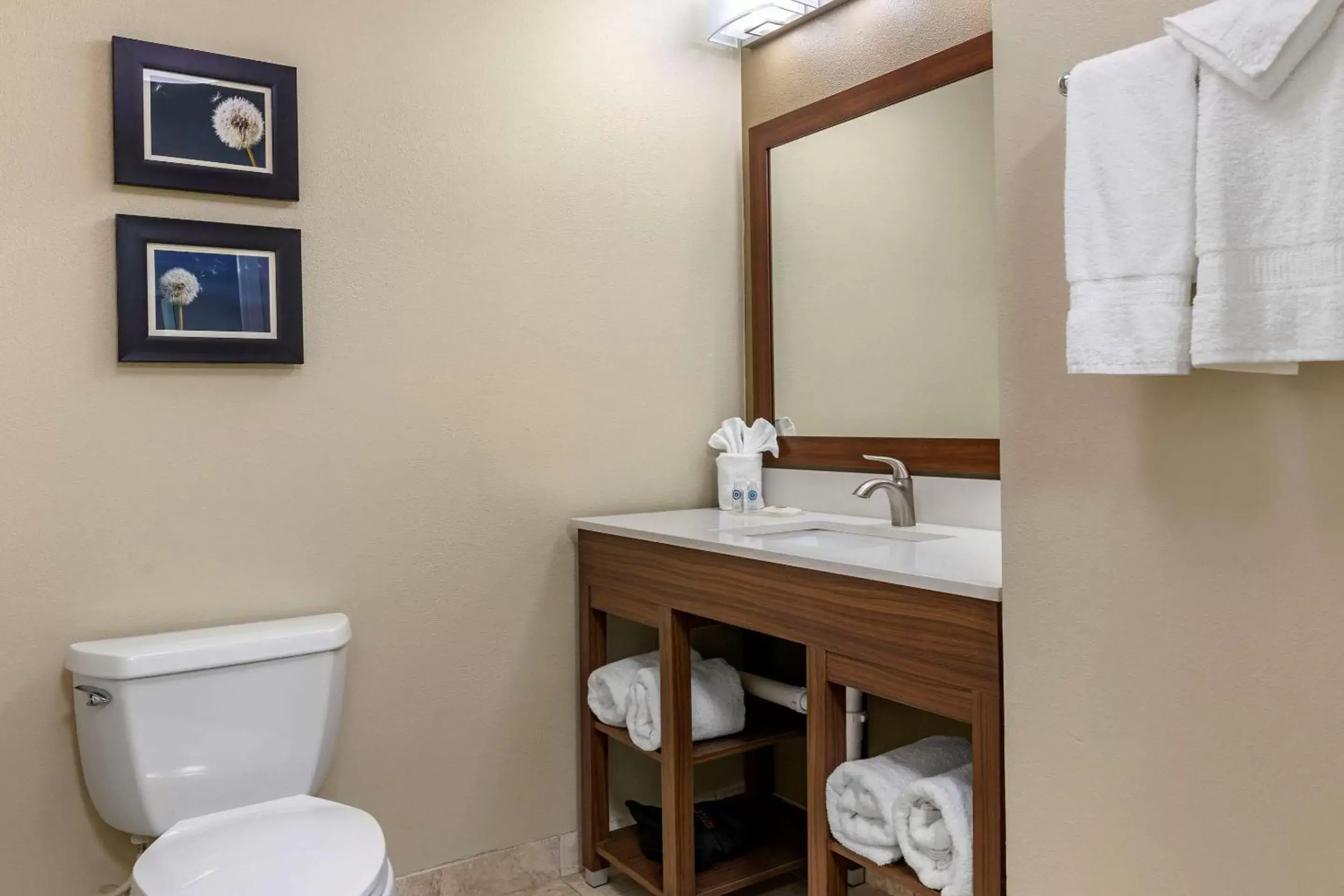 Bedroom, Bathroom in Comfort Inn and Suites Tifton