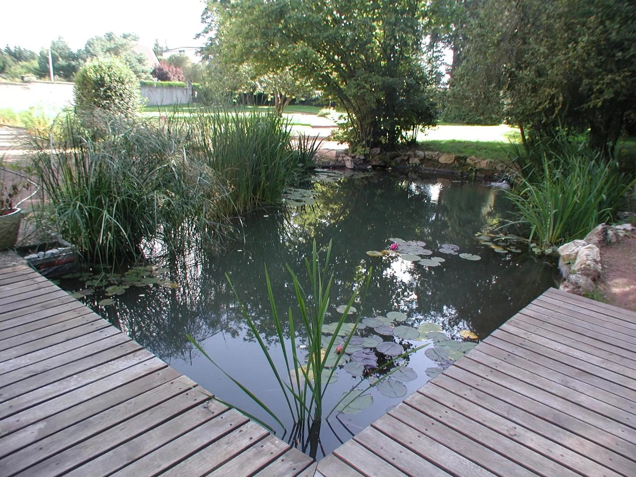 Spring in MaisonMazerand