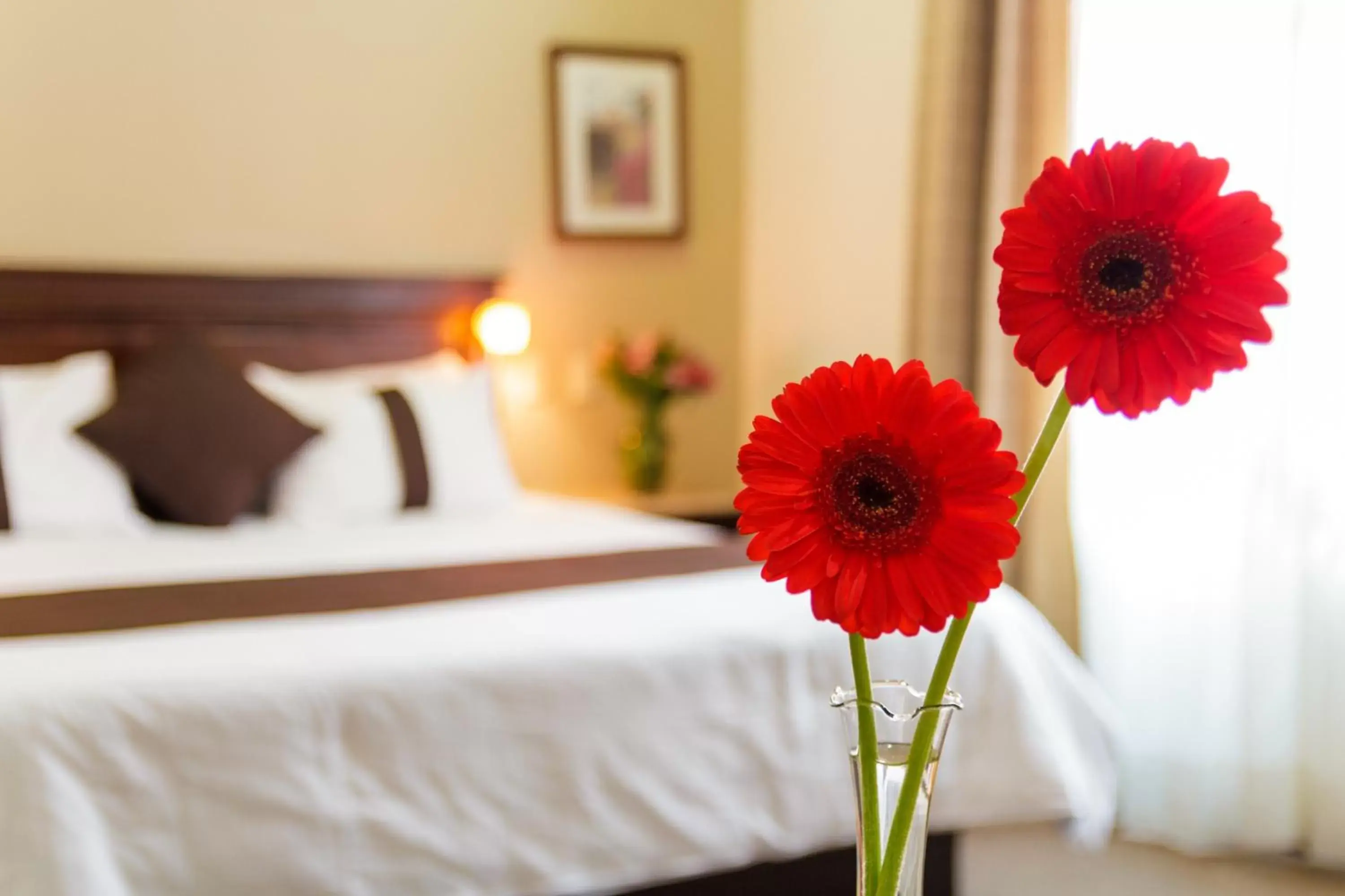 Decorative detail, Bed in Mision Catedral Morelia Decorative detail, Bed in Mision Catedral Morelia