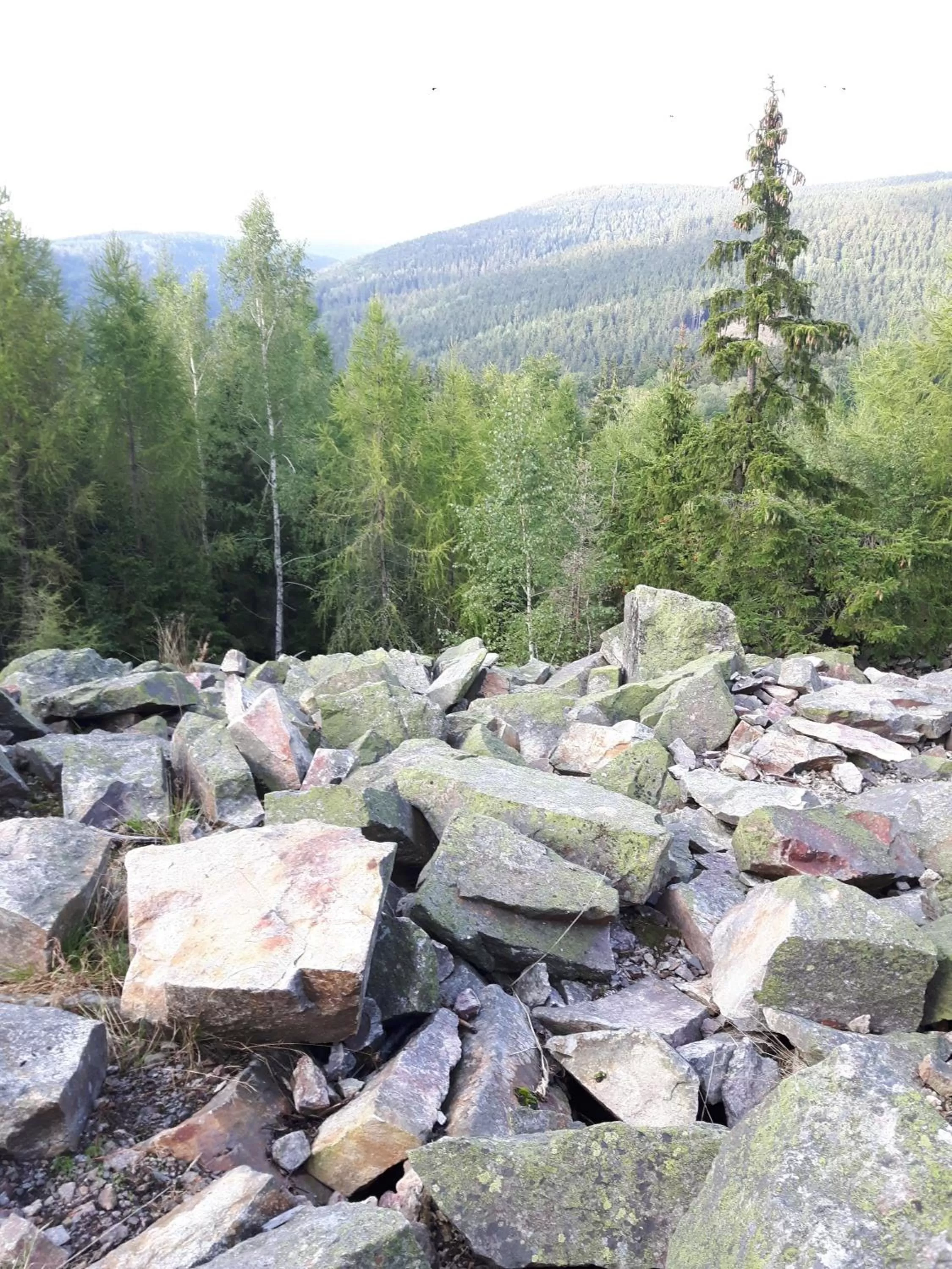 Staff in Erzgebirgshotel Misnia Bärenfels