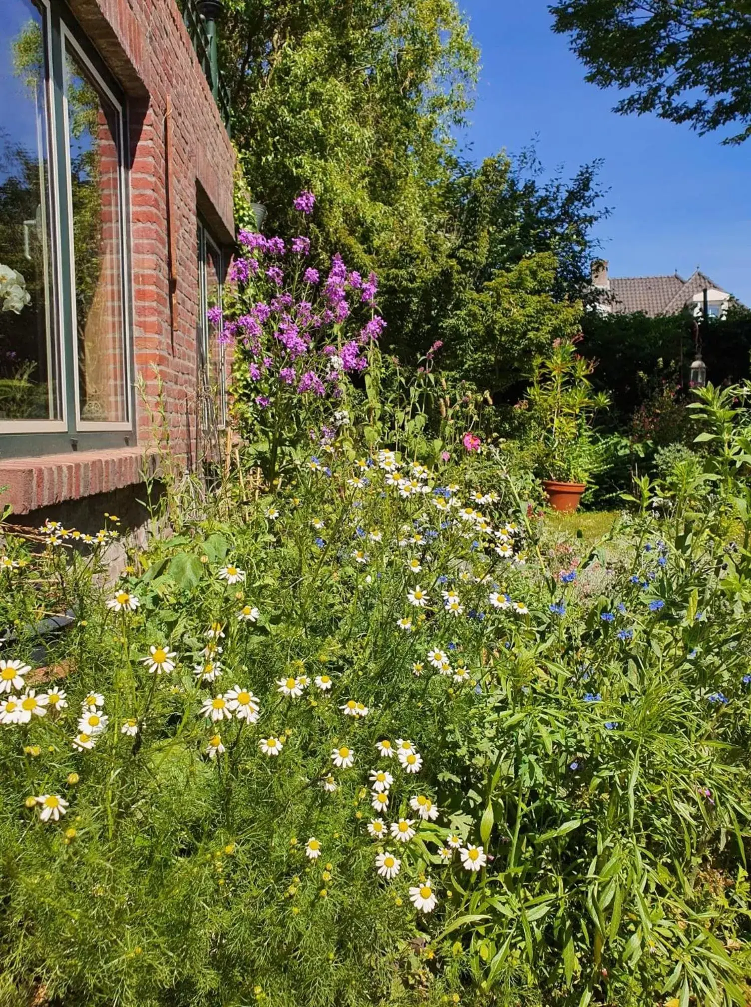 Garden in De Vliegende Vlinder