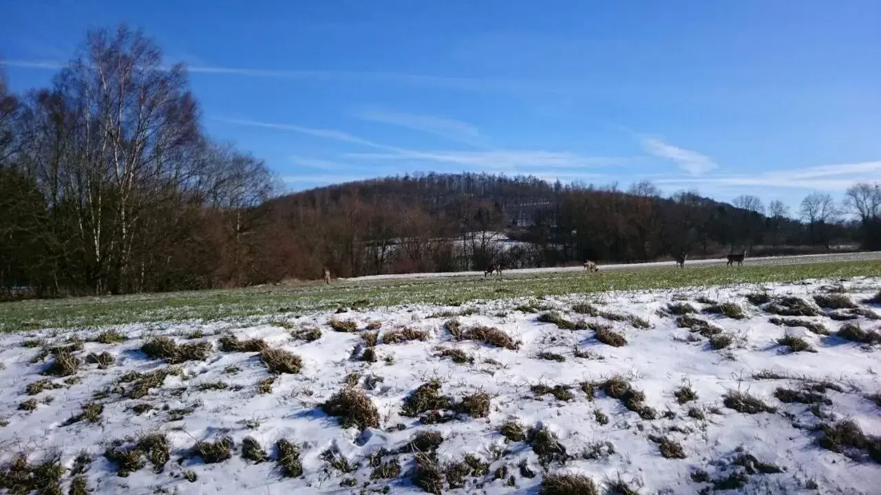 Winter in Hotel Carolinenhof