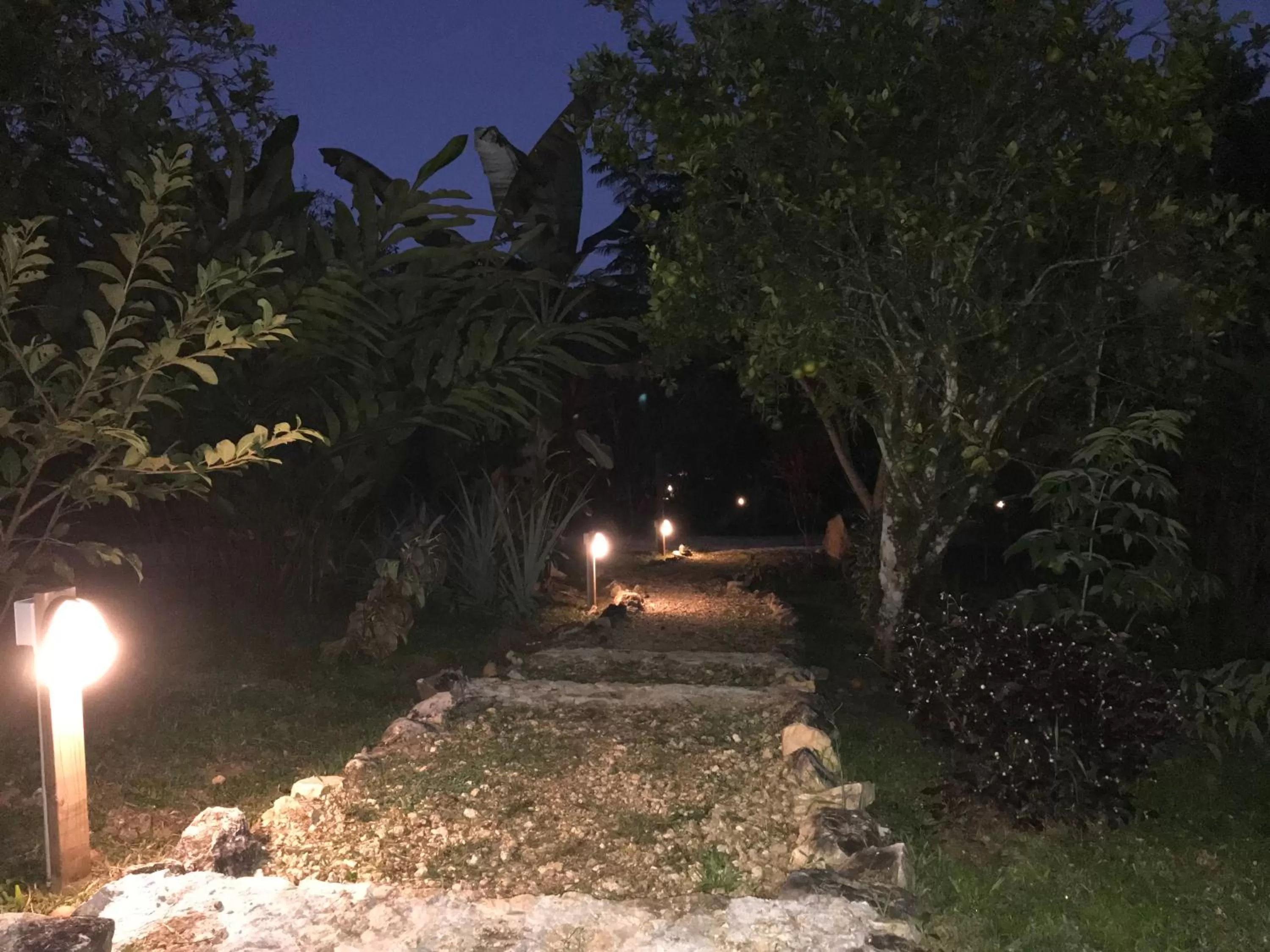 Garden in Sattva Land