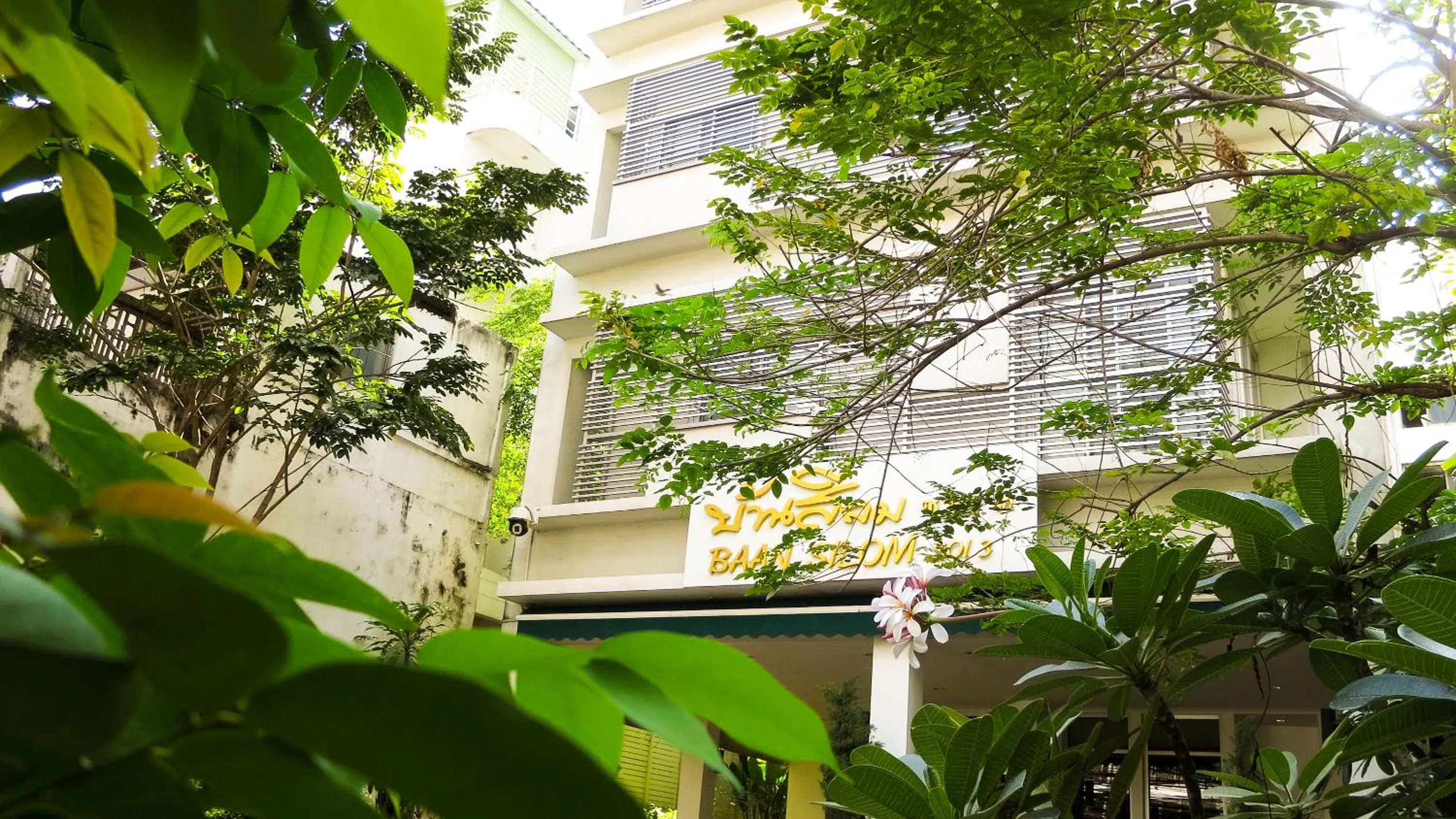 Other in Baansilom Soi 3