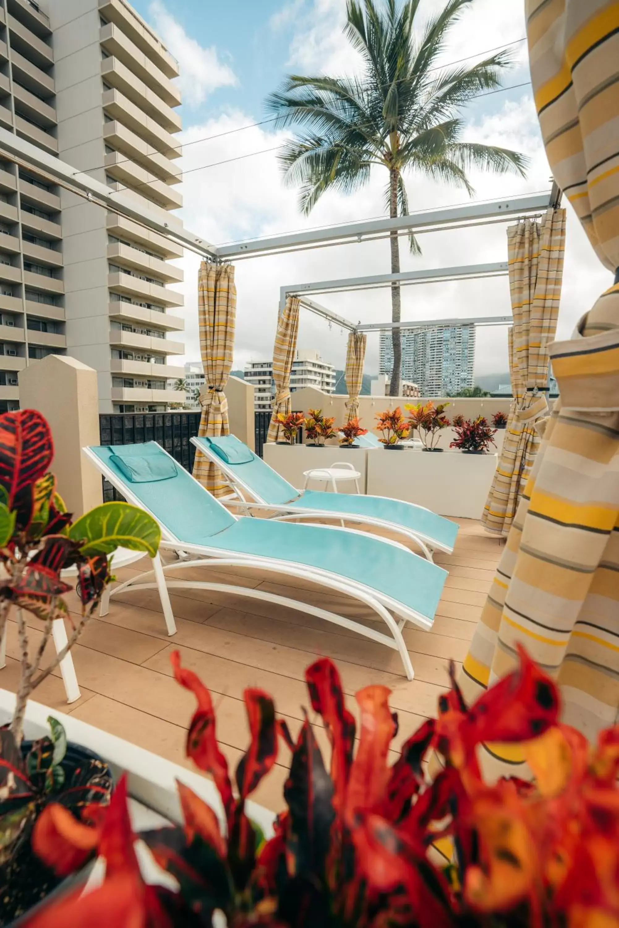 Swimming Pool in Holiday Inn Express Waikiki, an IHG Hotel