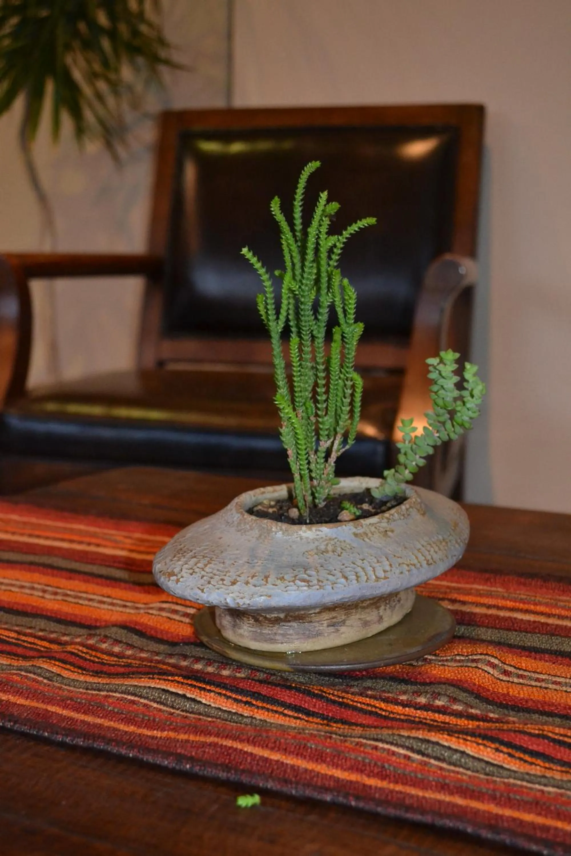 Lobby or reception in Puerto Chico Hotel