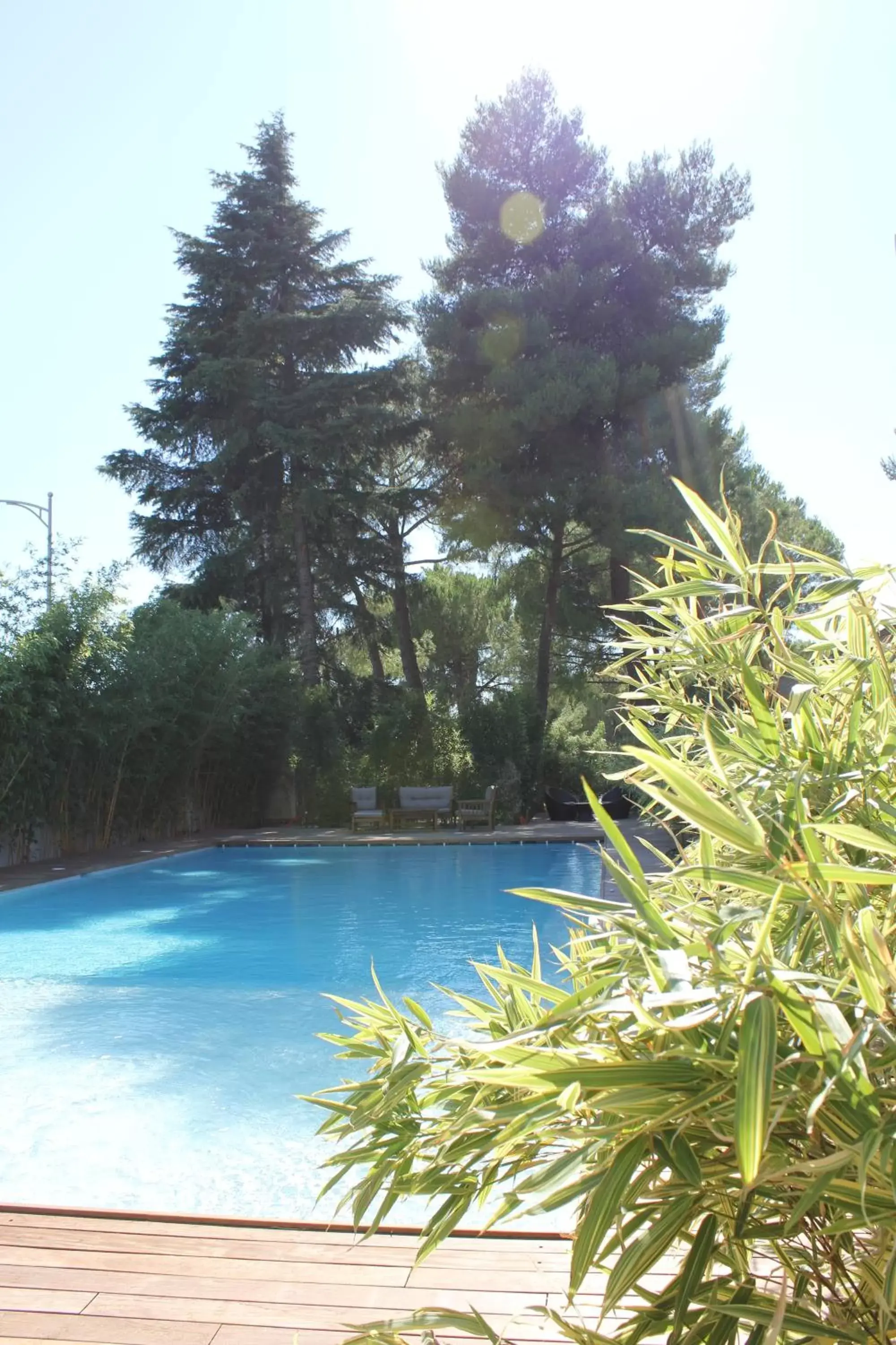 Garden, Swimming Pool in HÔTEL C SUITES chambres spacieuses