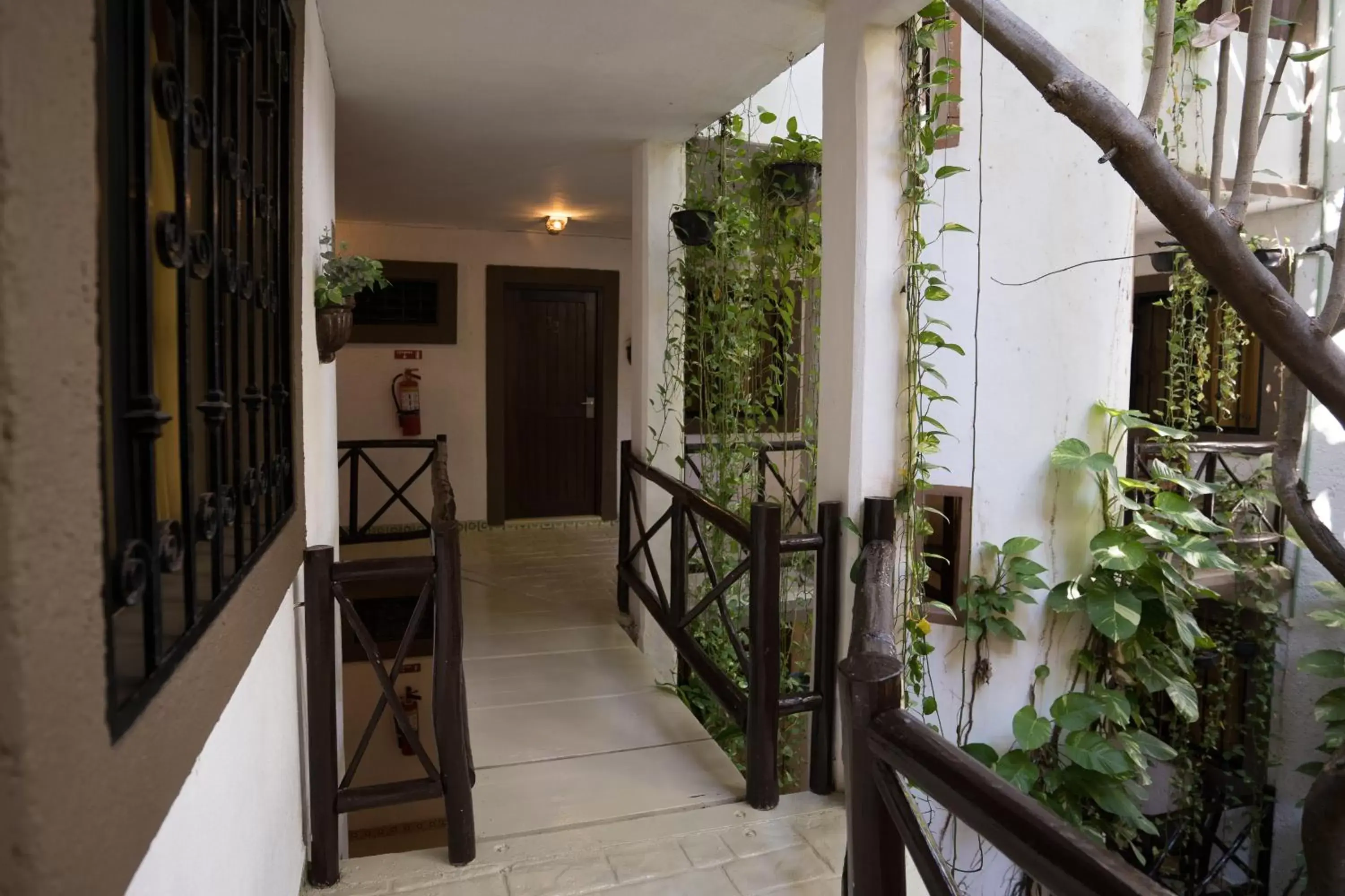 Balcony/Terrace in Posada Mariposa Boutique Hotel - 5th Avenue