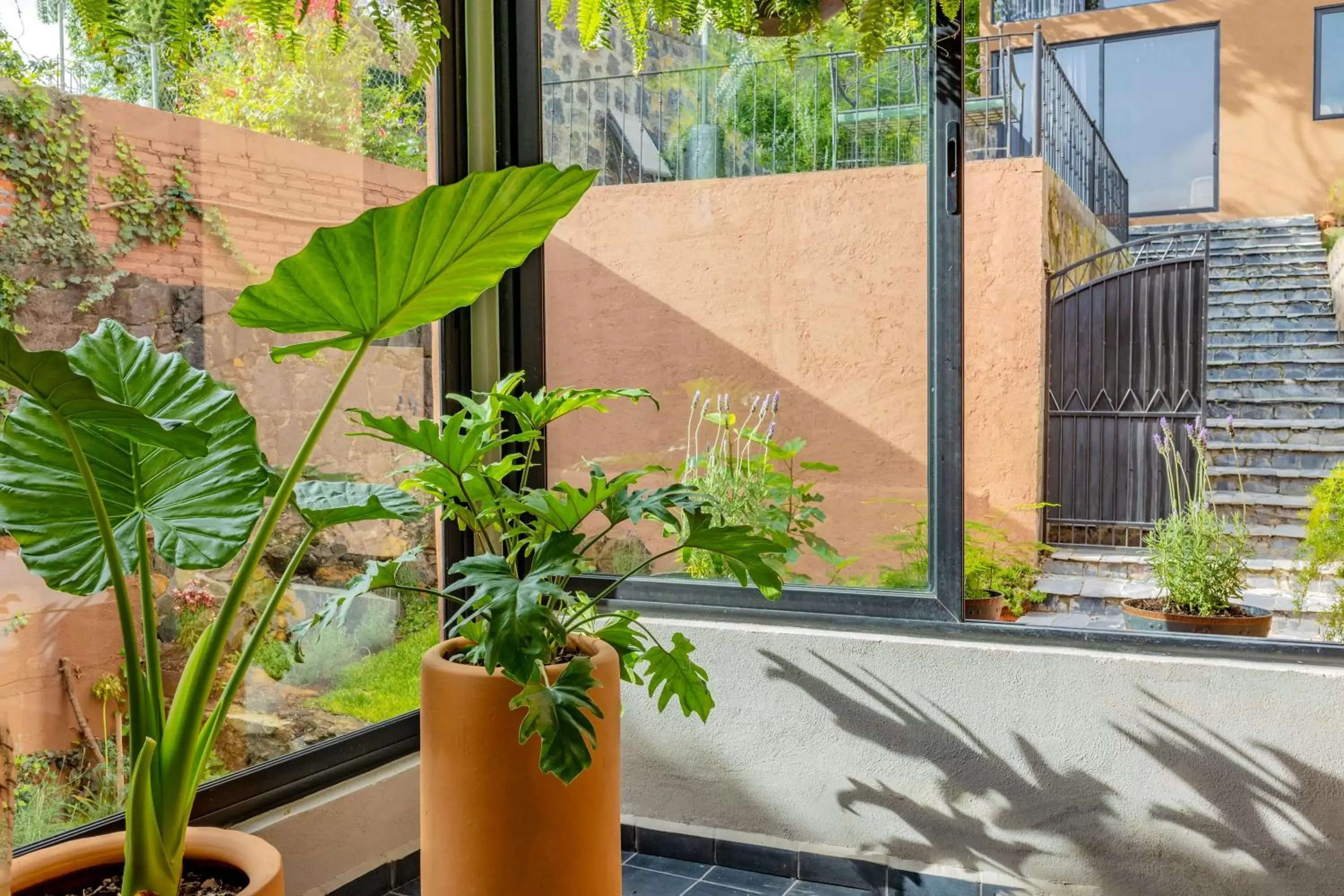 Garden in Casa Lavanda Hotel Boutique