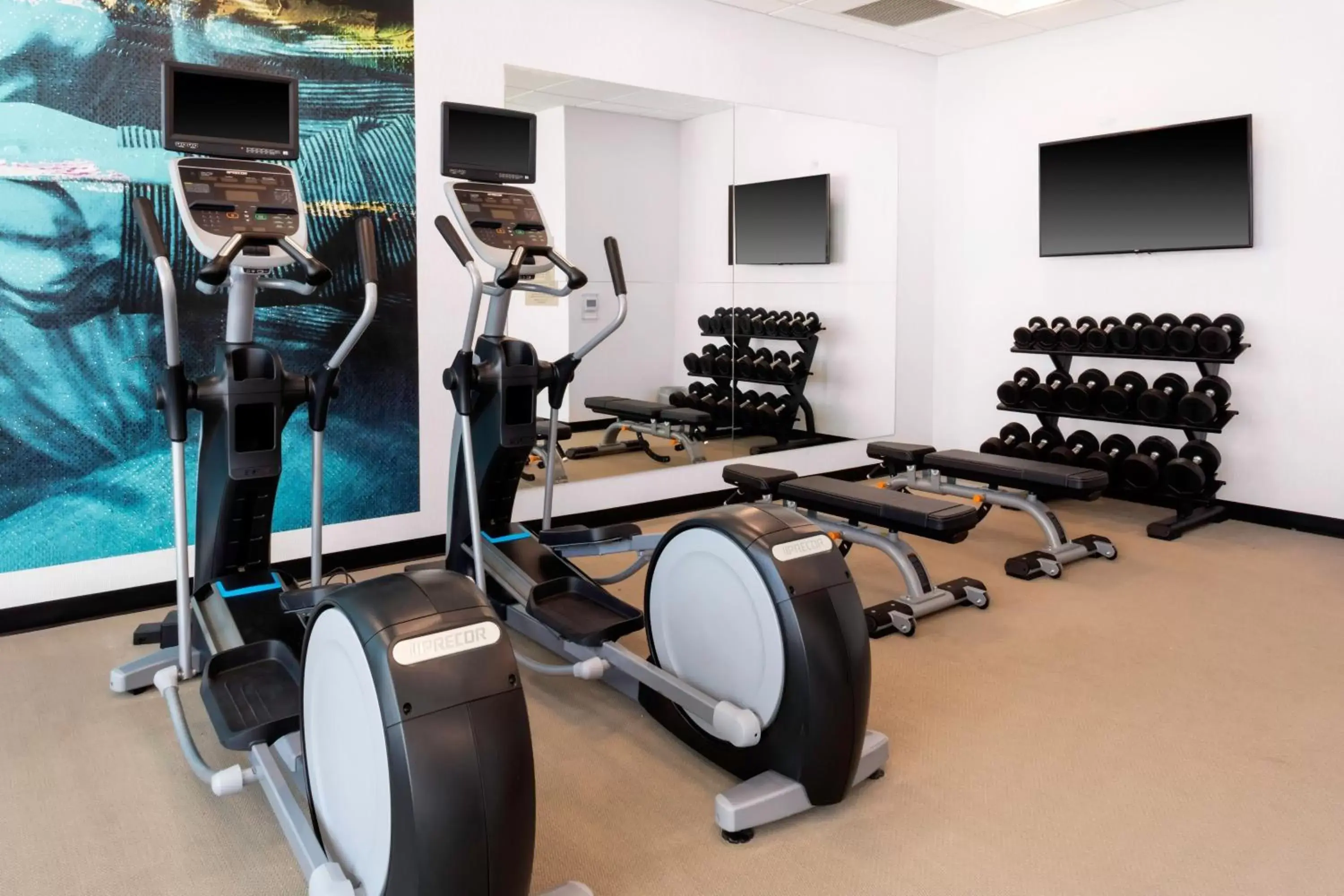 Fitness centre/facilities, Fitness Center/Facilities in SpringHill Suites Kansas City Airport