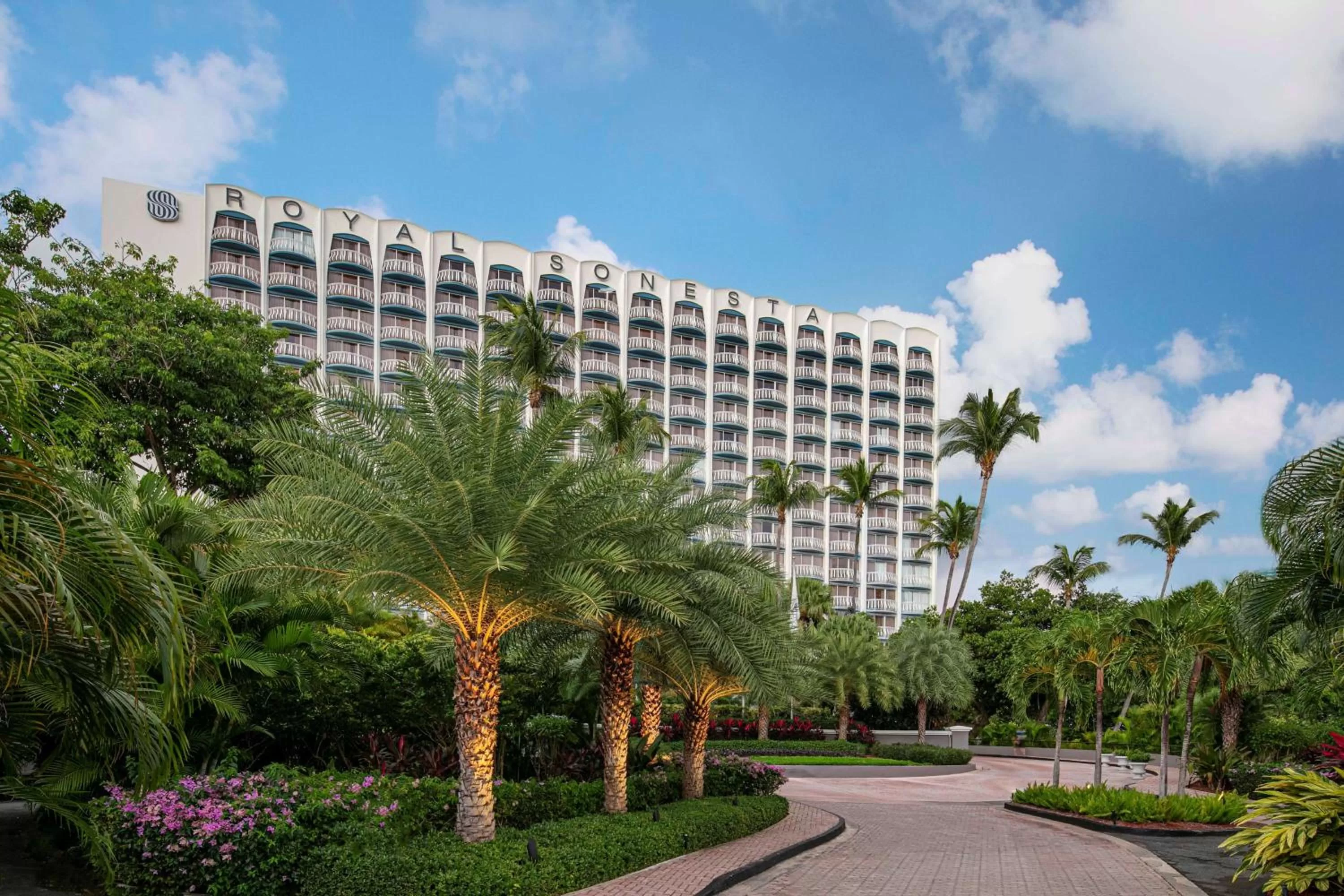 On site in The Royal Sonesta San Juan