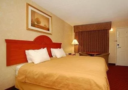 King Room - Non-Smoking in Quality Inn Petersburg Fort Lee Area