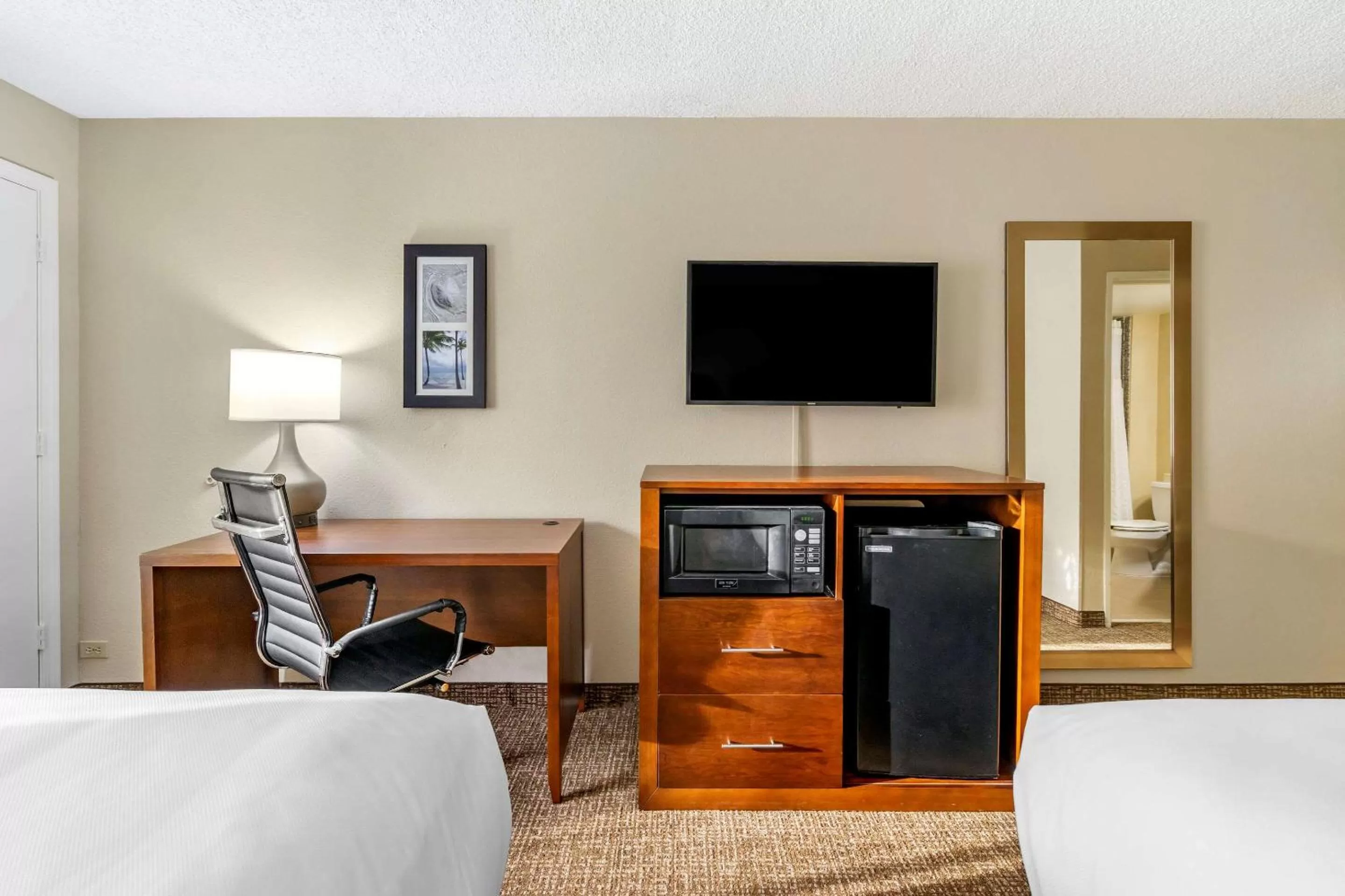 Photo of the whole room, Bed in Comfort Inn & Suites St Pete - Clearwater International Airport
