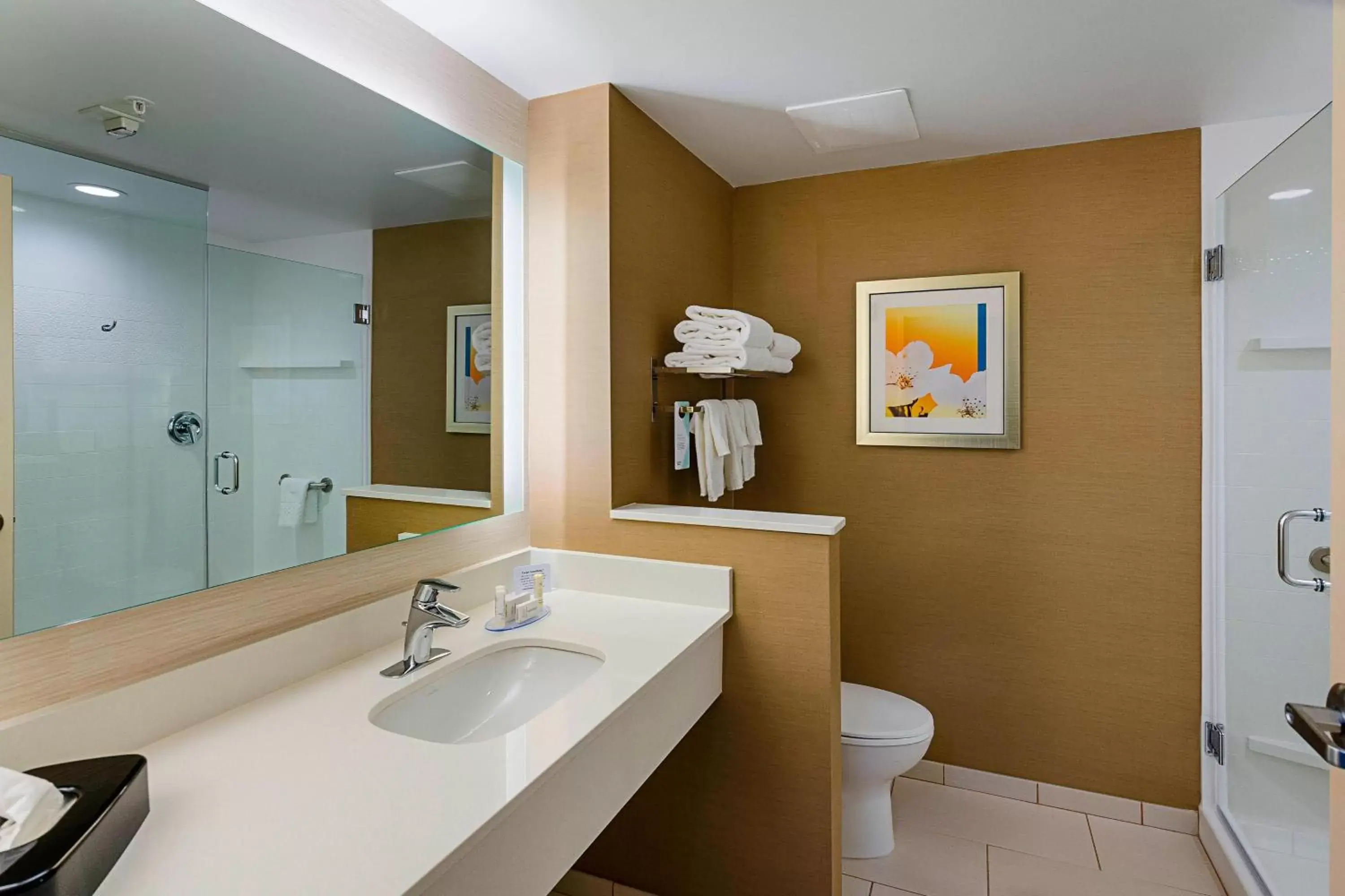 Bathroom in Fairfield Inn & Suites by Marriott Abingdon